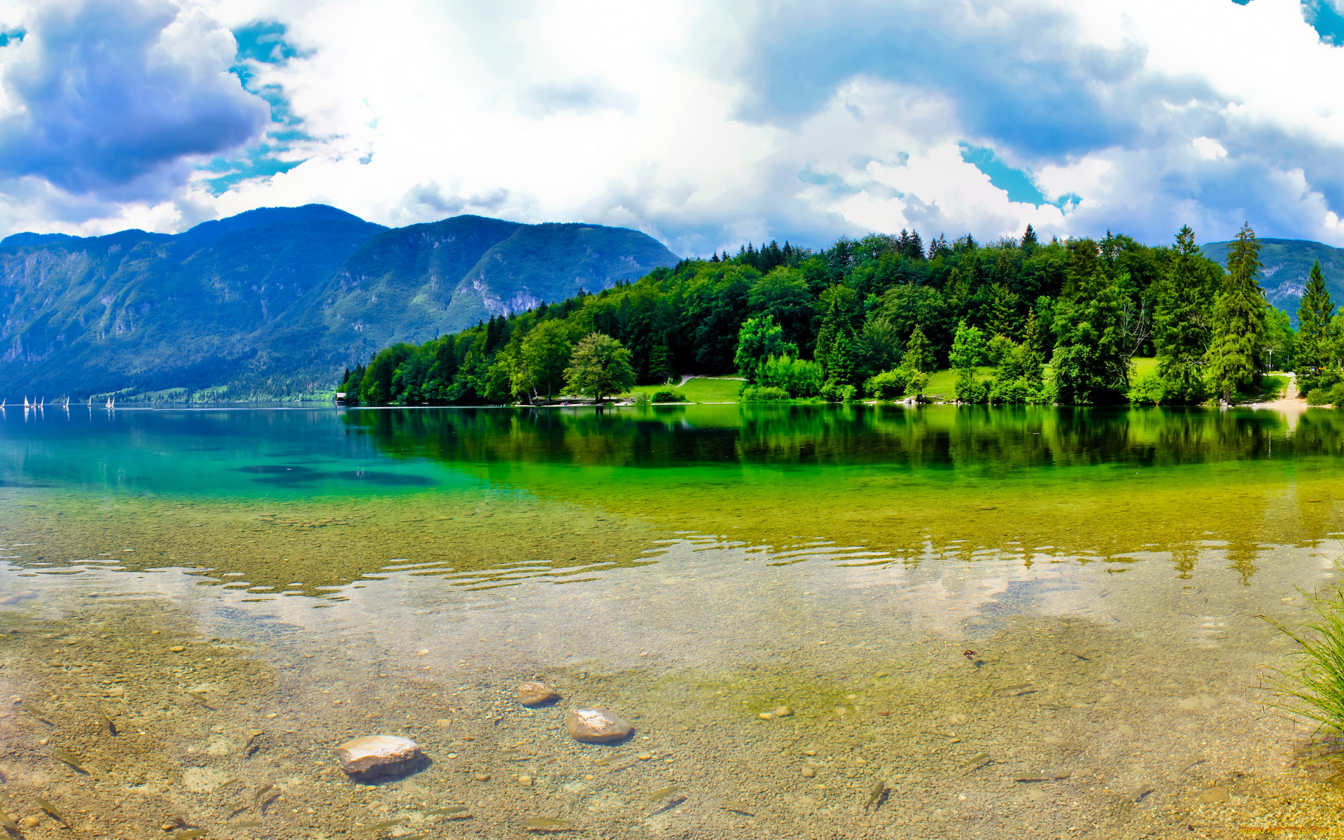 словения, bohinj, природа, реки, озера, горы, лес, озеро