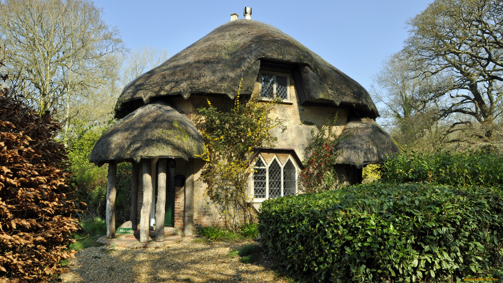 stanbridge, england, города, здания, дома, дом, кусты, деревья