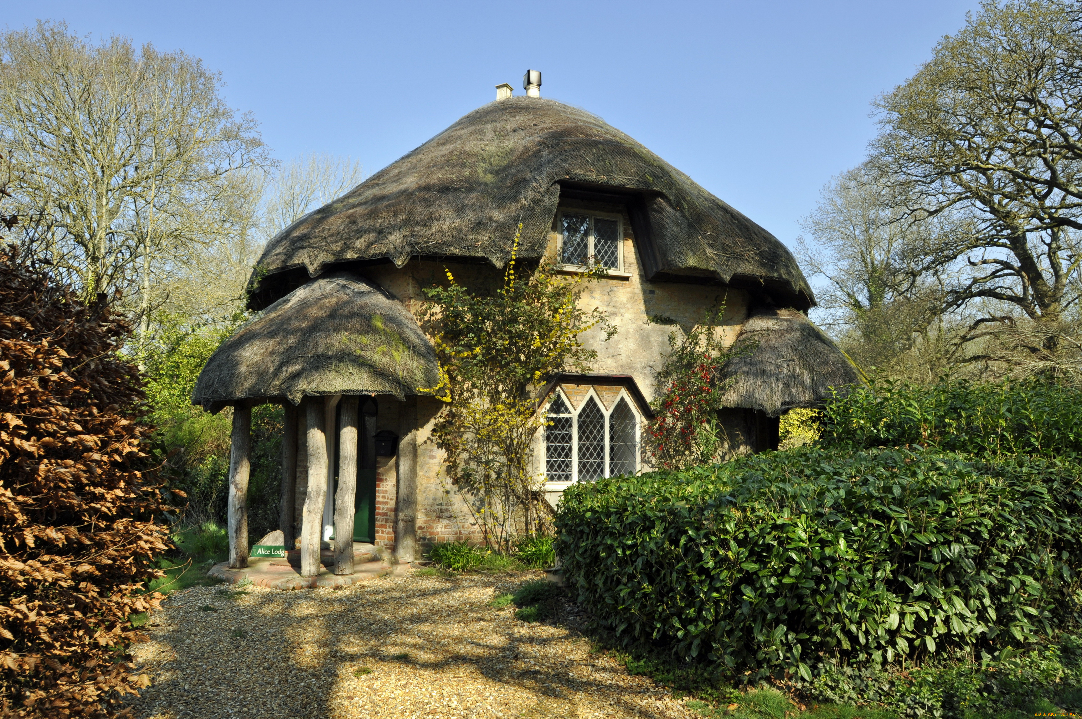 stanbridge, england, города, здания, дома, дом, кусты, деревья