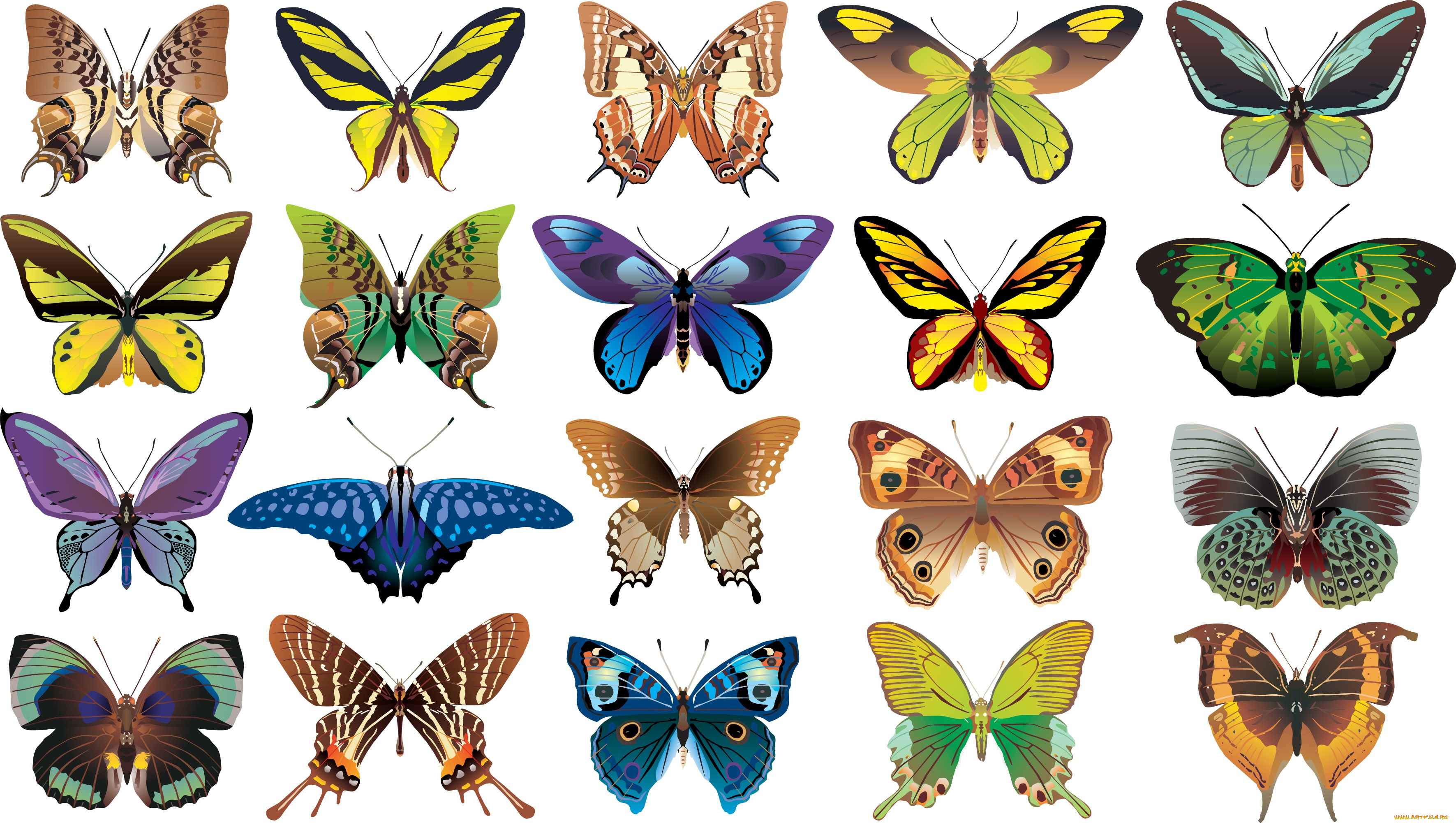 векторная, графика, животные, фон, бабочки