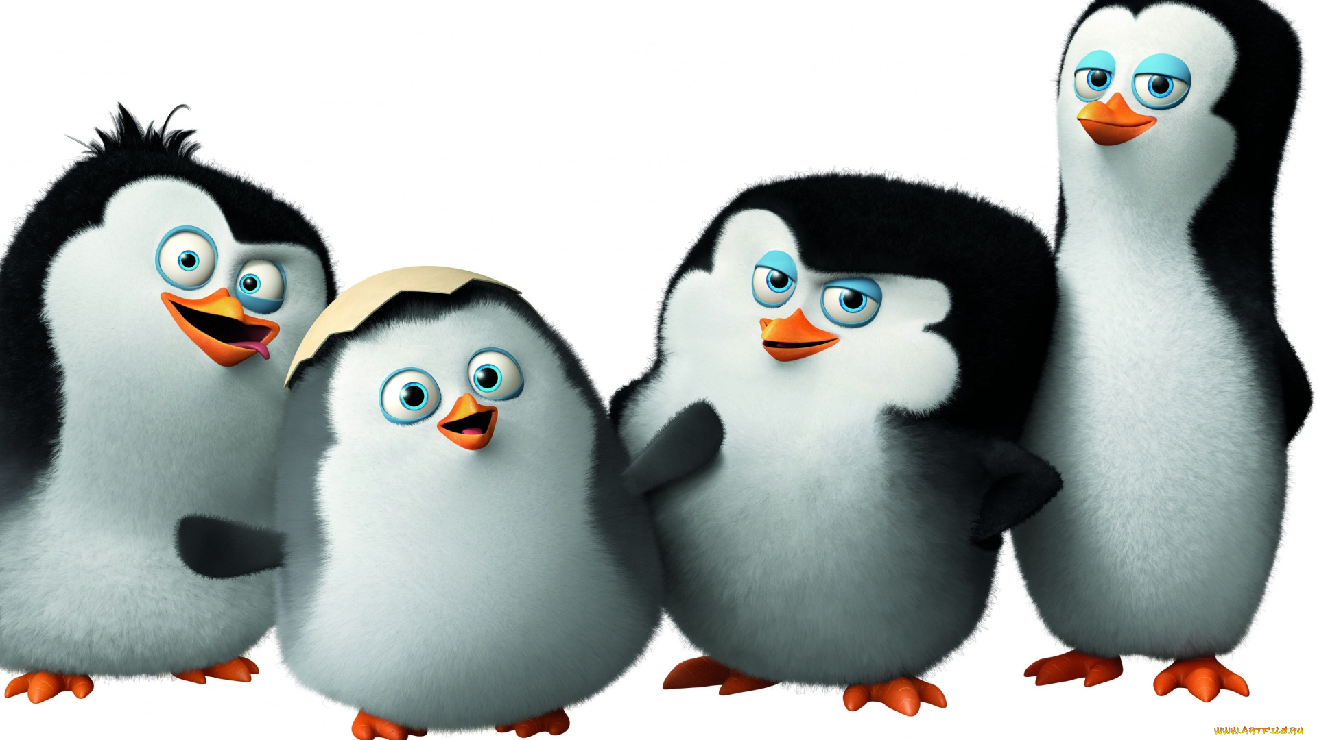 мультфильмы, the, penguins, of, madagascar, пингвины, мадагаскара, penguins, of, madagascar, classified, мультфильм