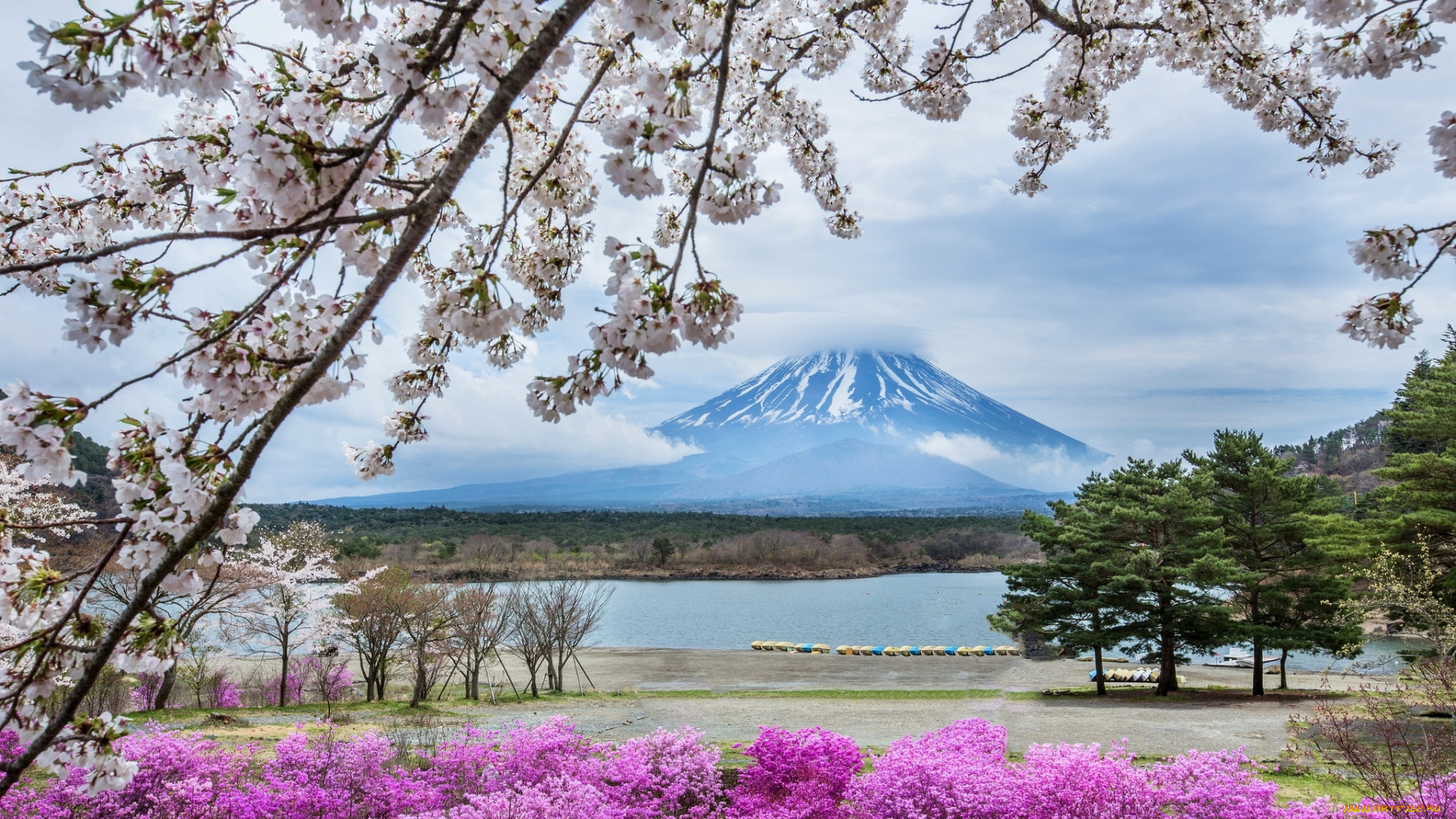 природа, пейзажи, фудзияма, гора, весна, цветы, Япония, сакура