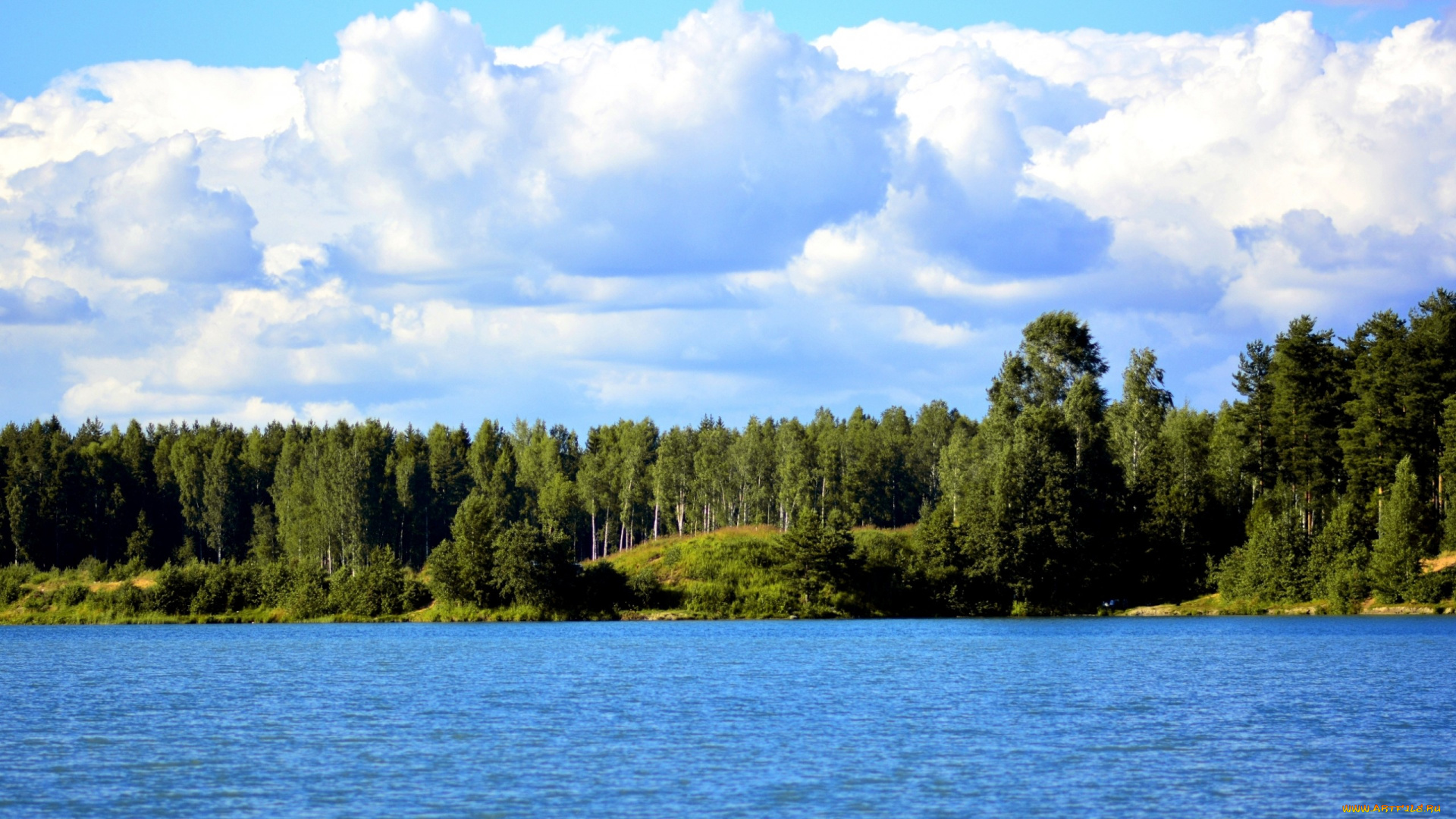 природа, реки, озера, лето, озеро, берег, лес, деревья, облака