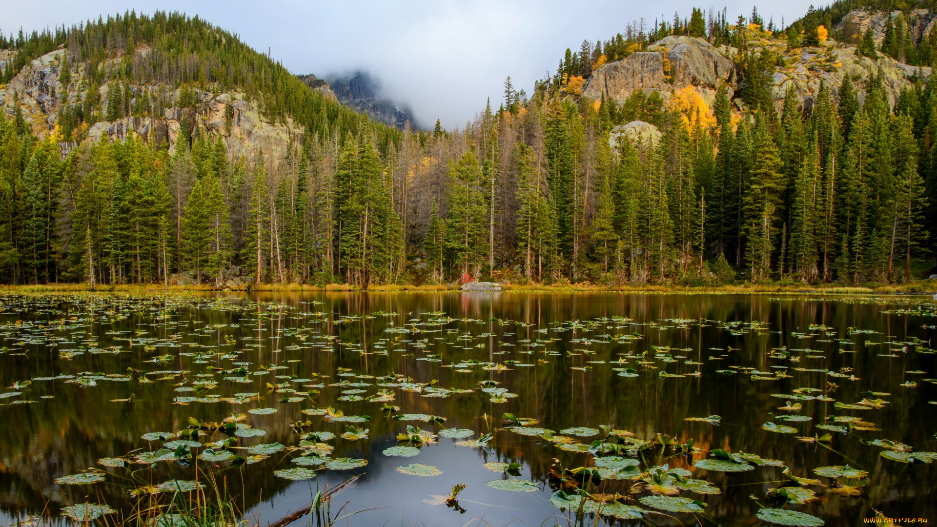 природа, реки, озера, сша, nymph, lake, rocky, mountain, national, park, лес, озеро, горы, скалы