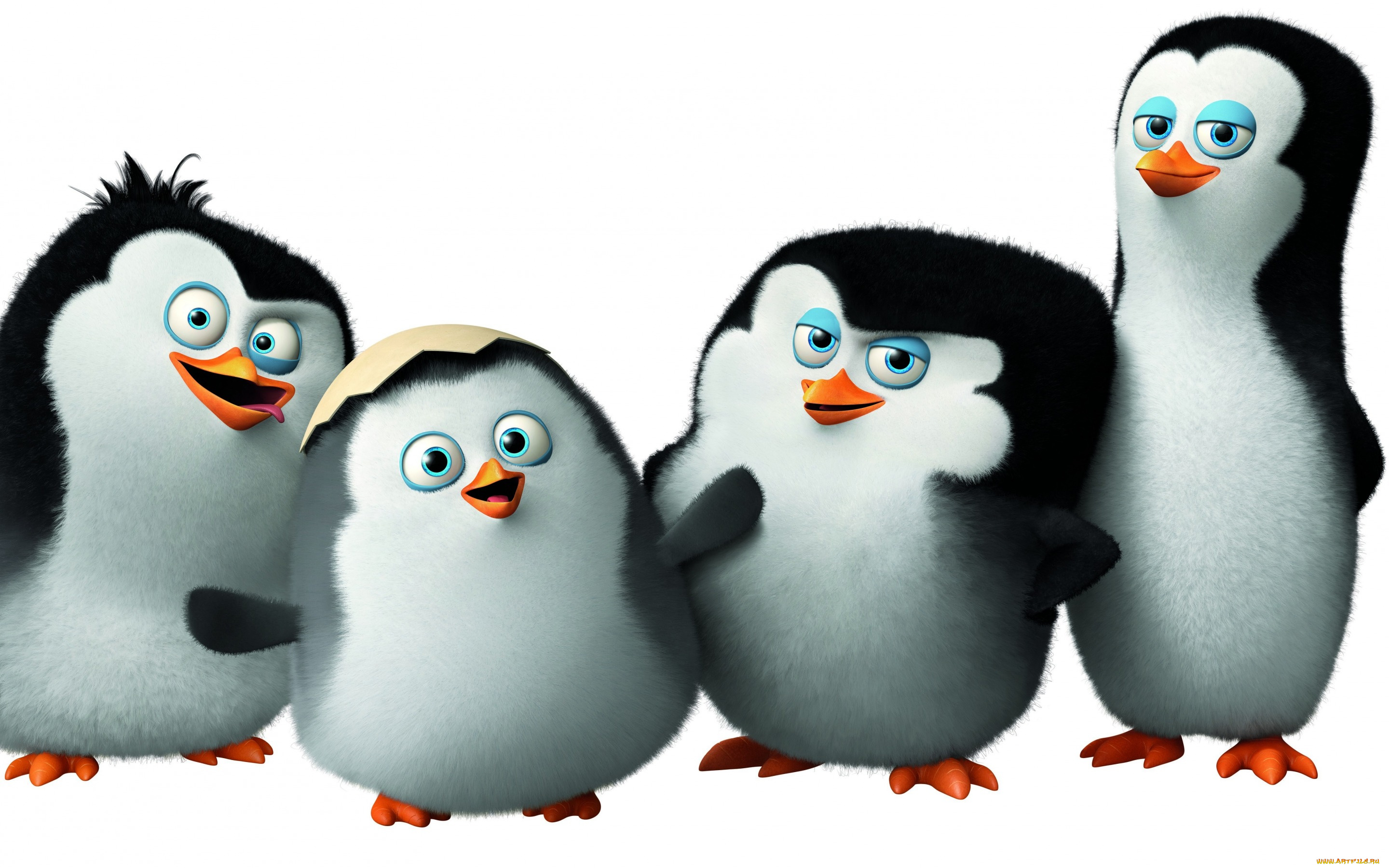 мультфильмы, the, penguins, of, madagascar, пингвины, мадагаскара, penguins, of, madagascar, classified, мультфильм