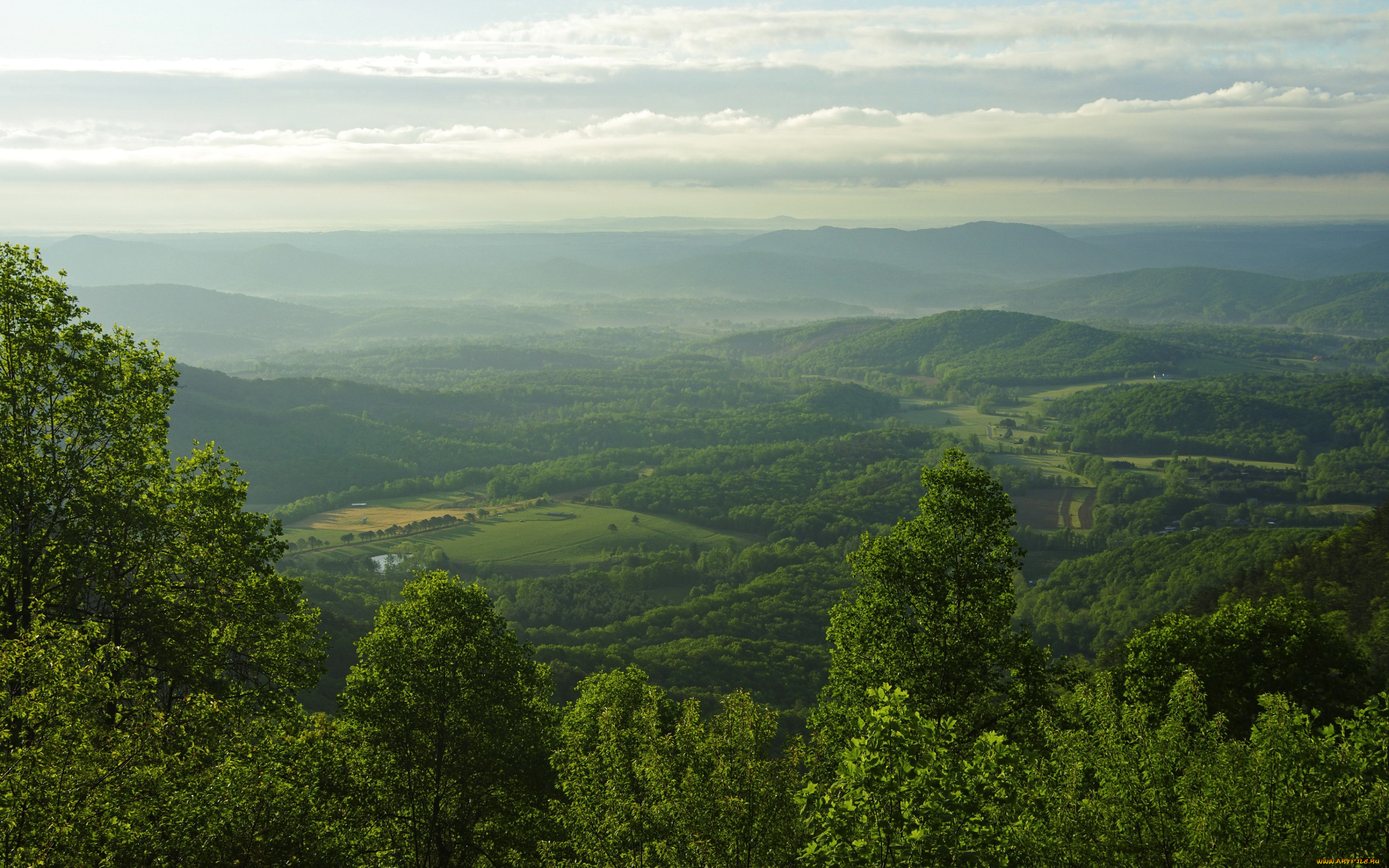 природа, пейзажи, сша, blue, ridge, parkway, горы, леса, поля, панорама