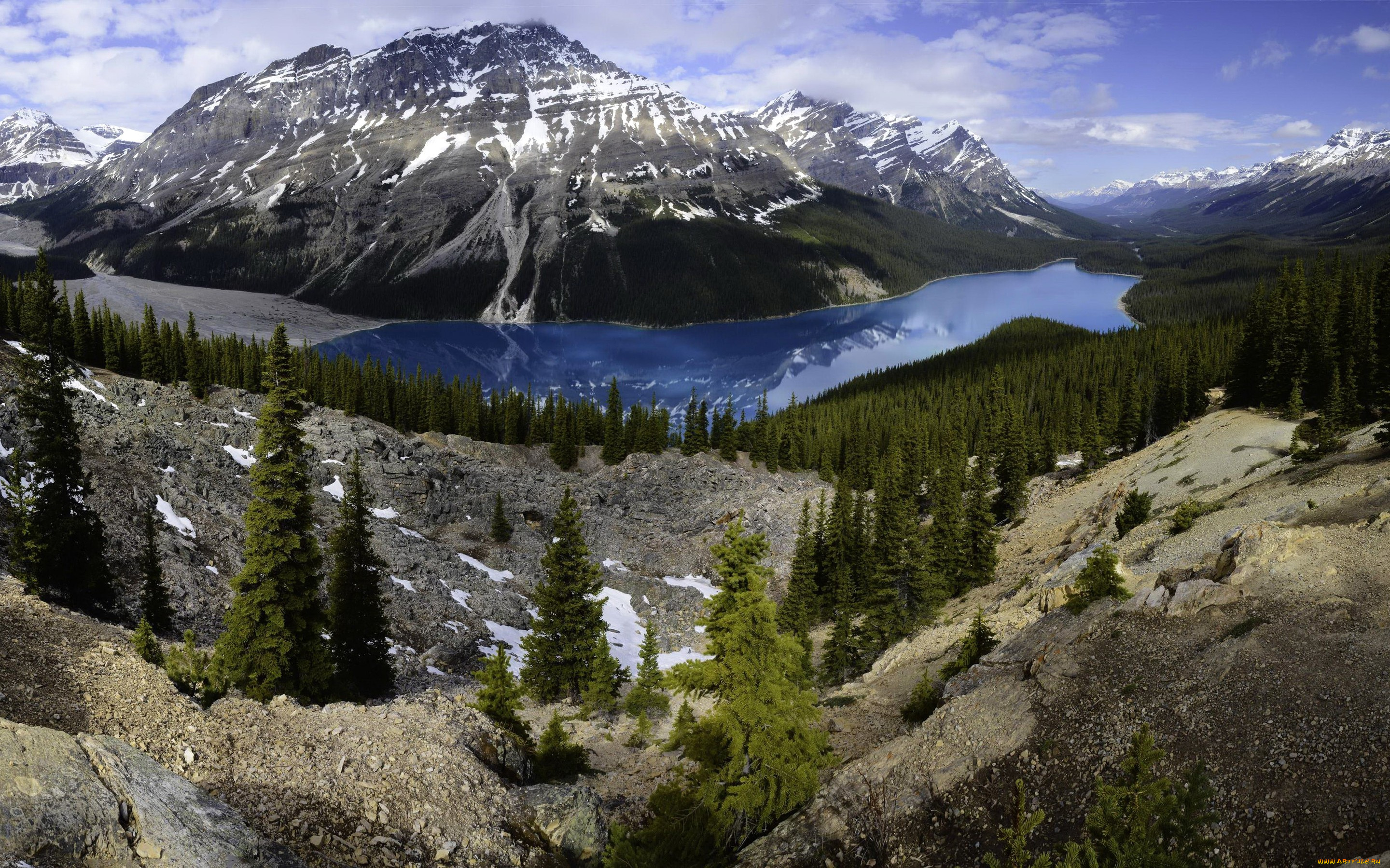 природа, реки, озера, канада, банф, peyto, lake, озеро, лес, горы, скалы, камни, деревья, панорама