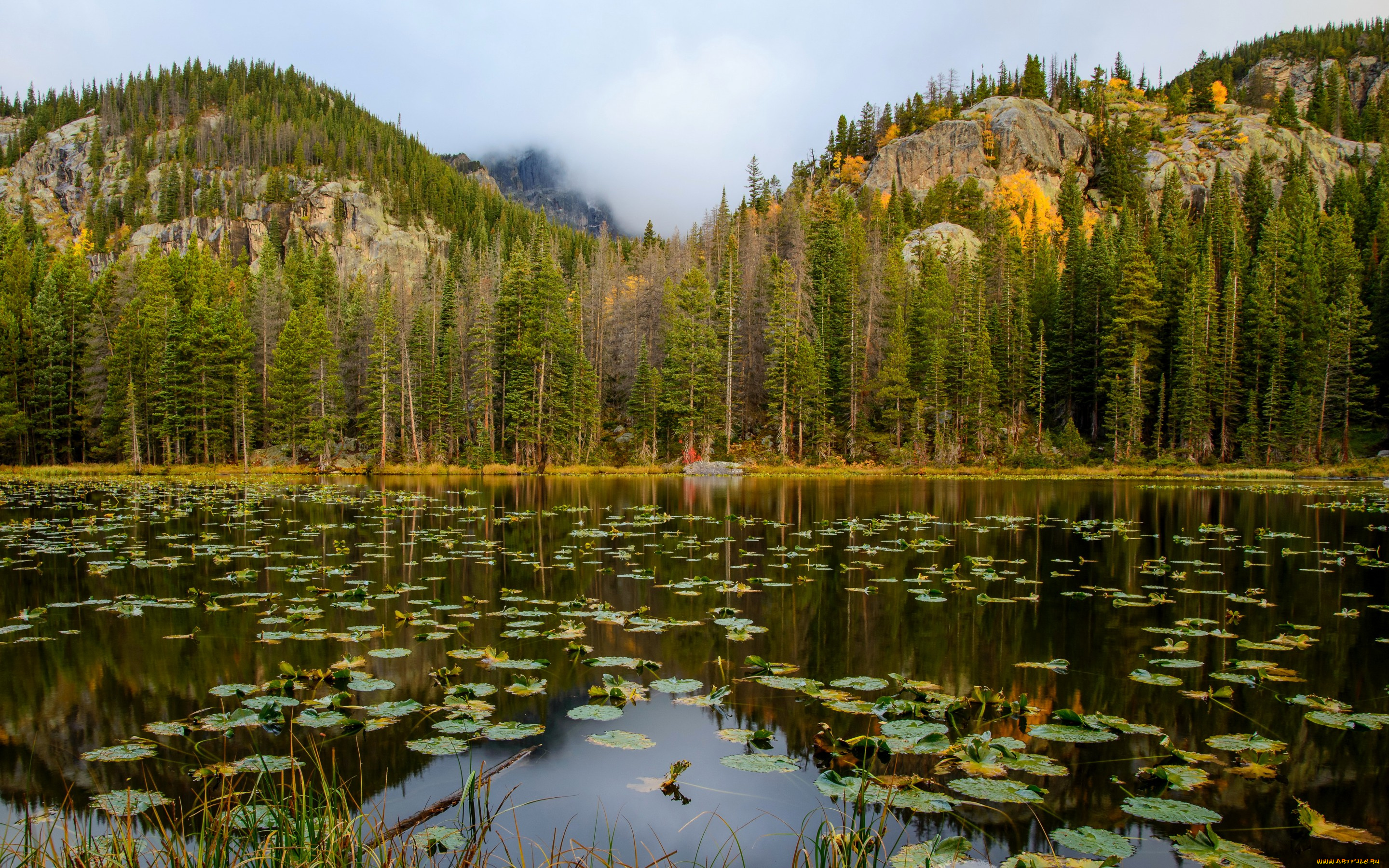 природа, реки, озера, сша, nymph, lake, rocky, mountain, national, park, лес, озеро, горы, скалы