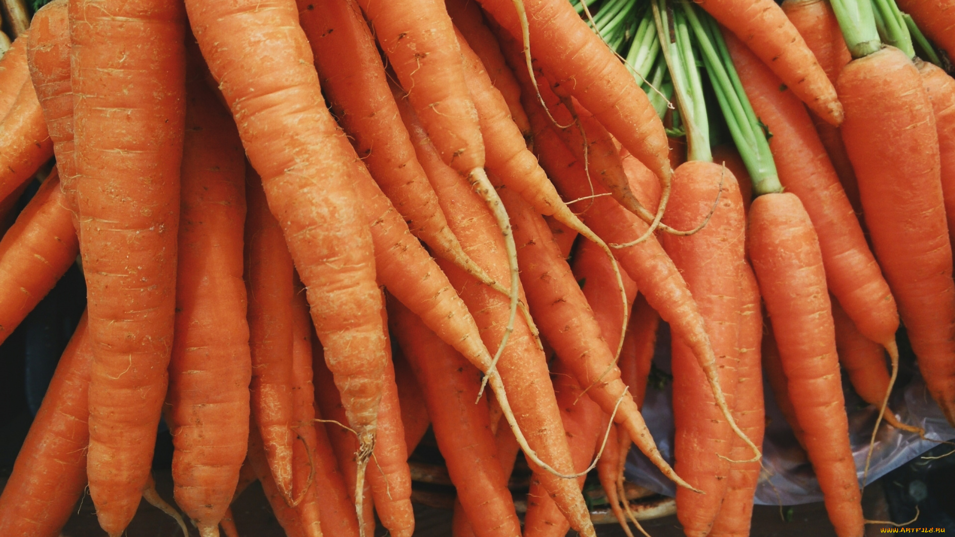 еда, морковь, оранжевые, урожай