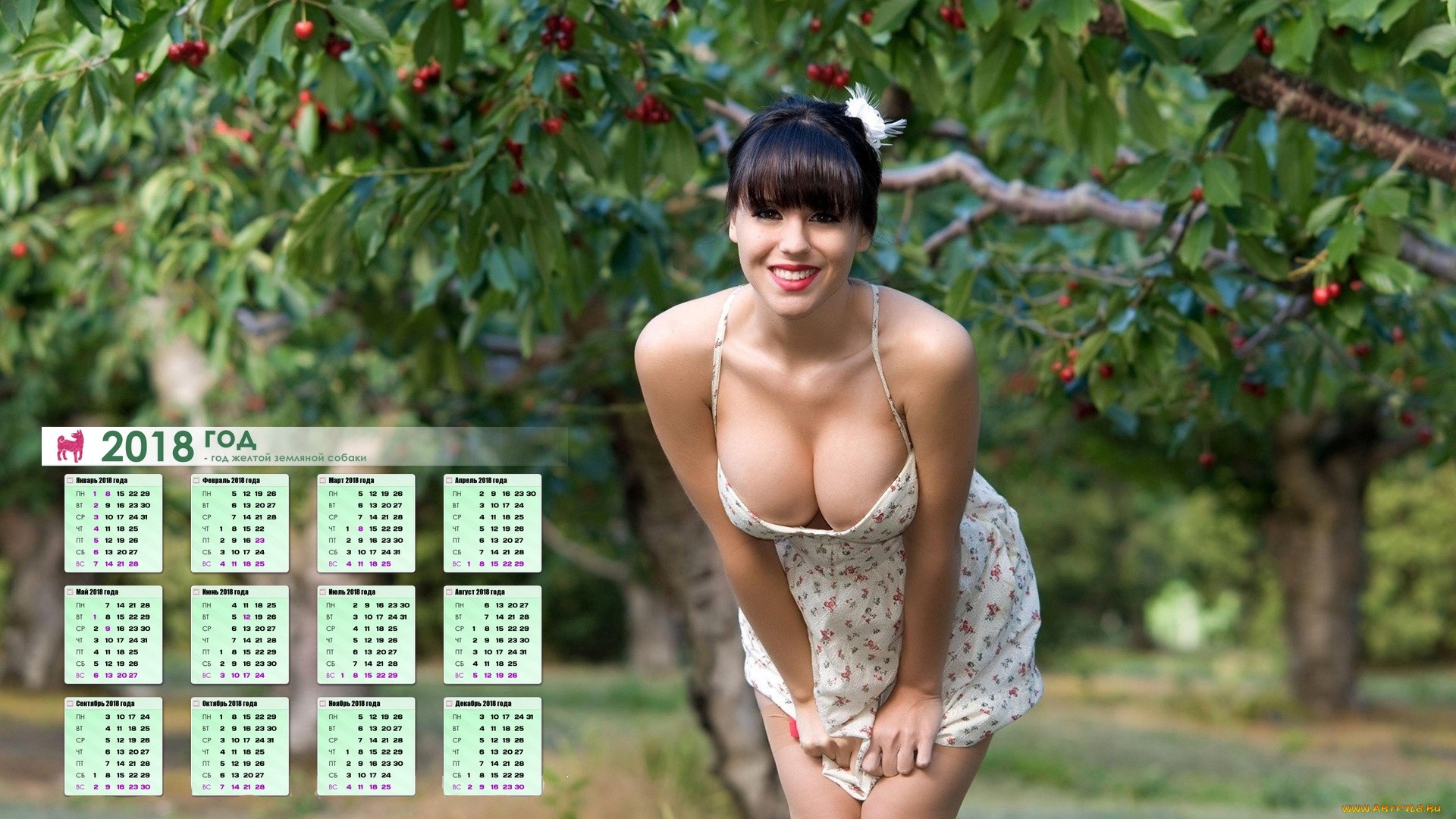 календари, девушки, взгляд, брюнетка, ягоды, деревья
