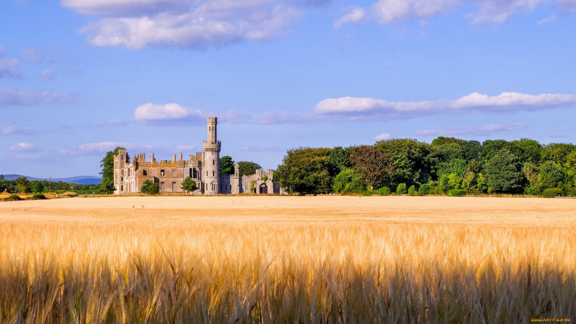 carlow, castle, города, замки, ирландии, carlow, castle