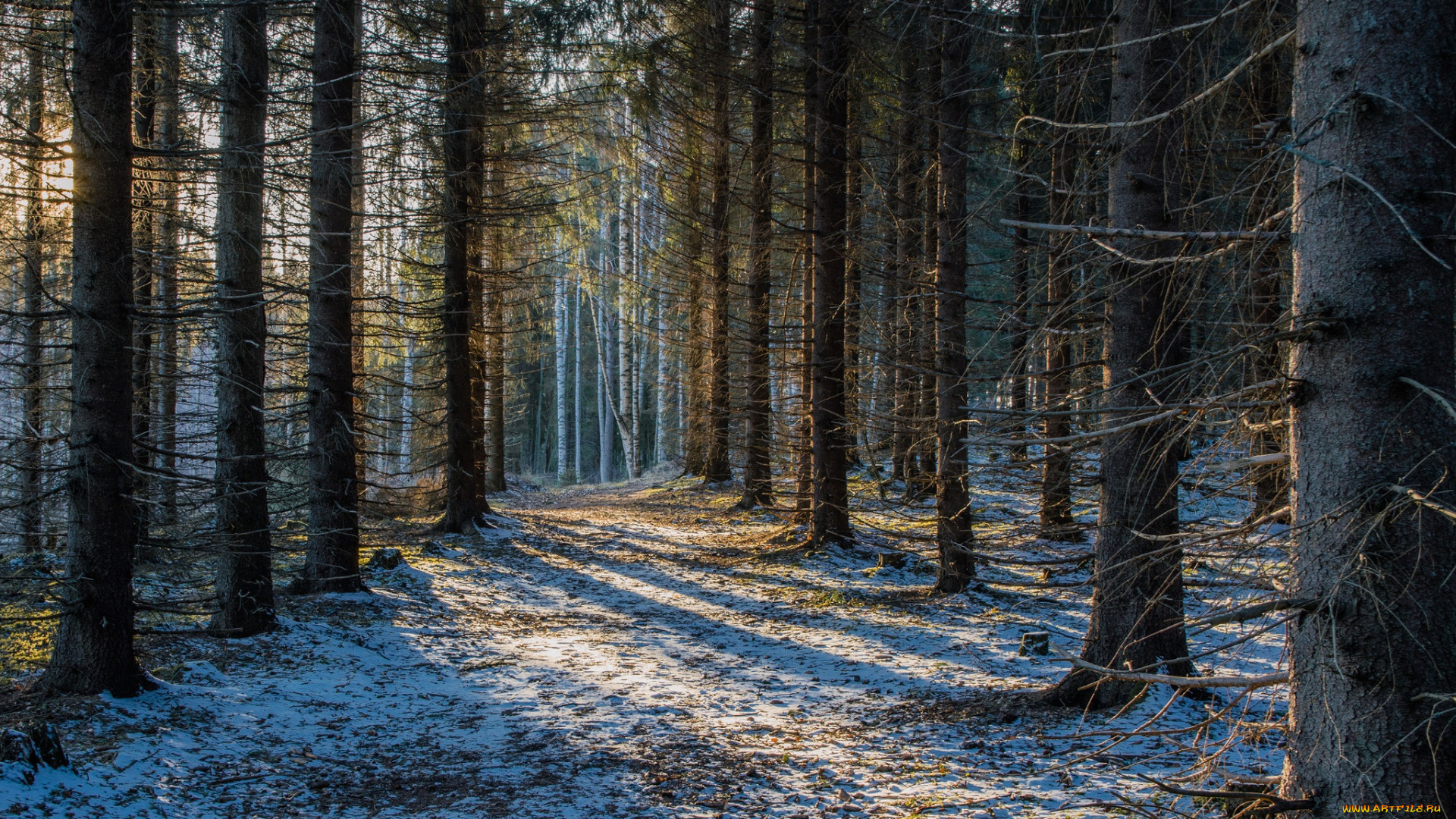 природа, лес, финляндия, снег, savonlinna, finland