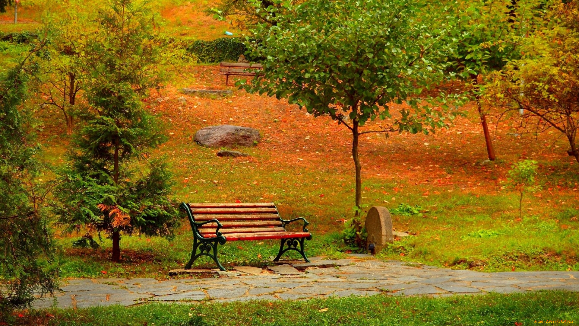 природа, парк, аллея, скамейка, осень