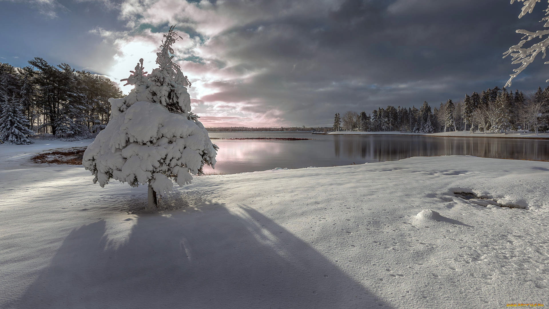 природа, зима, озеро