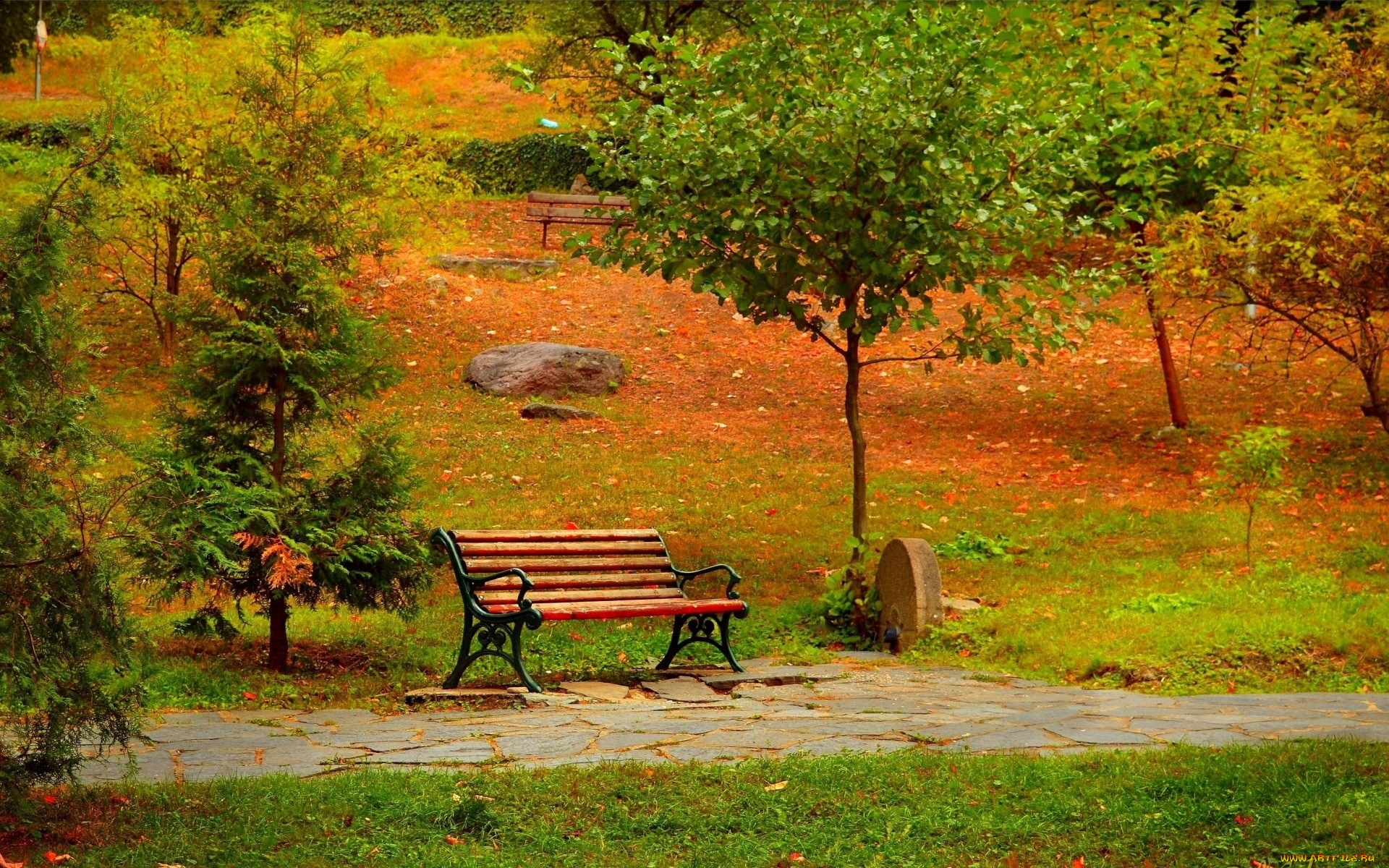 природа, парк, аллея, скамейка, осень
