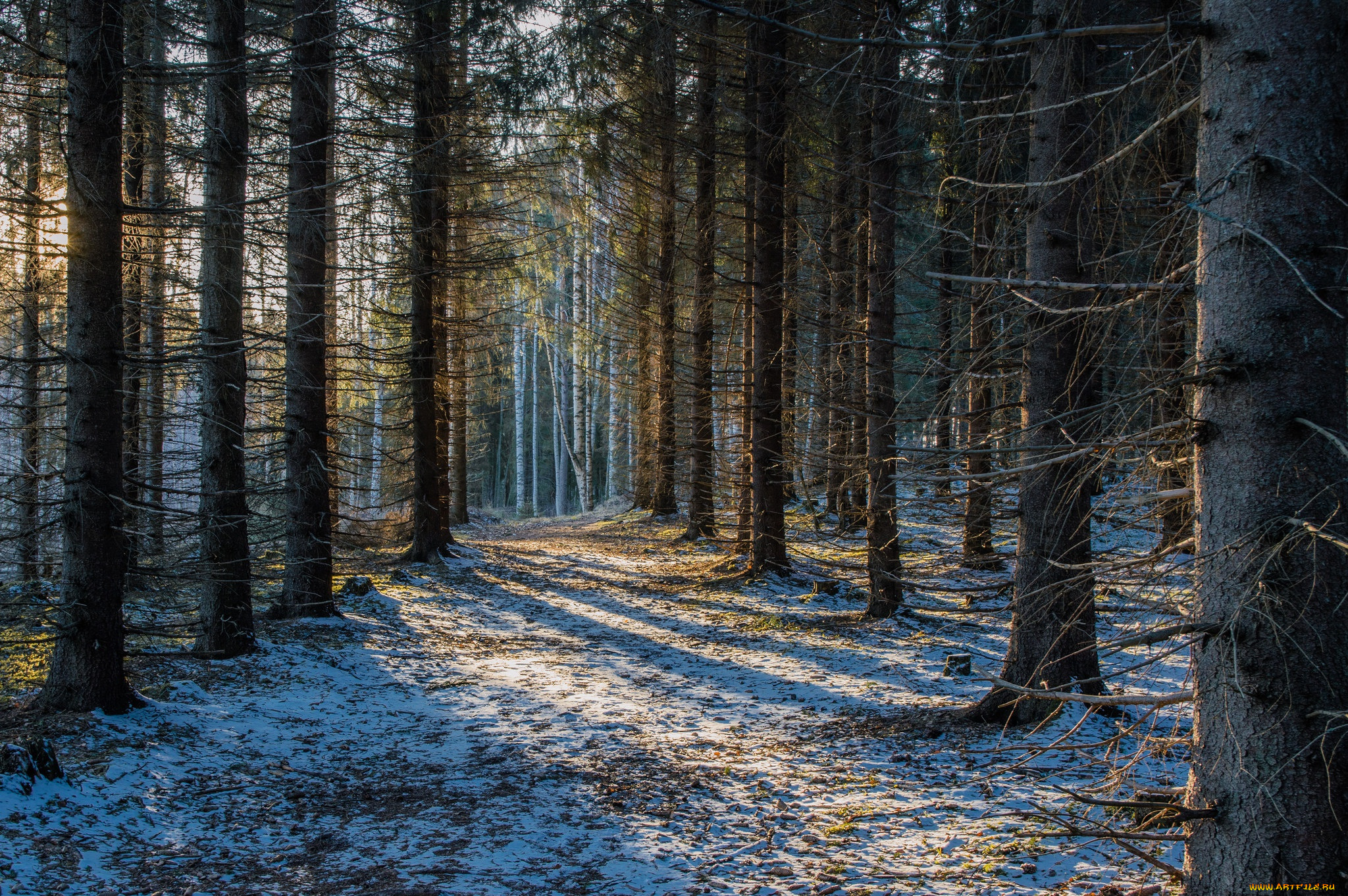 природа, лес, финляндия, снег, savonlinna, finland