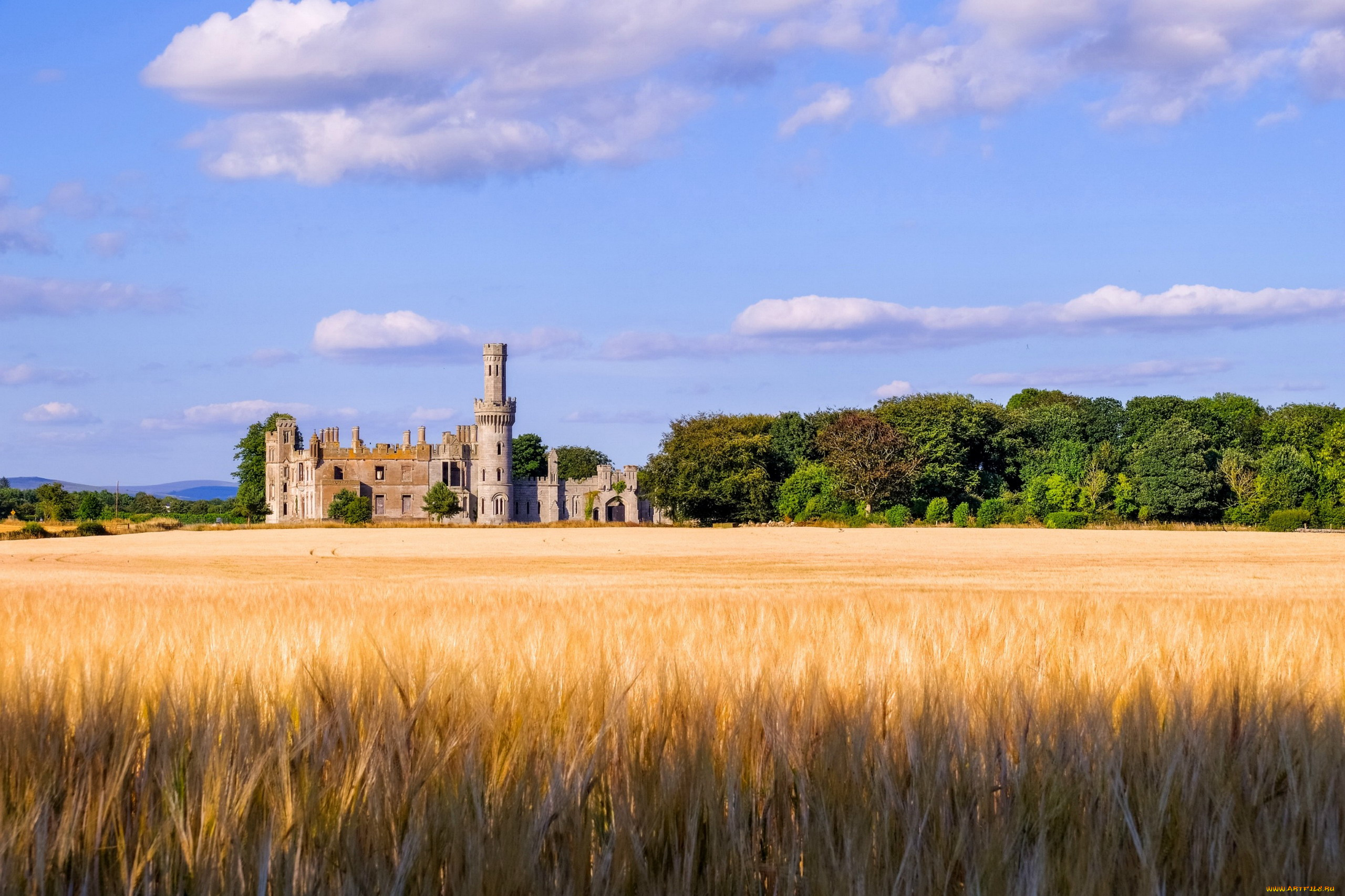 carlow, castle, города, замки, ирландии, carlow, castle