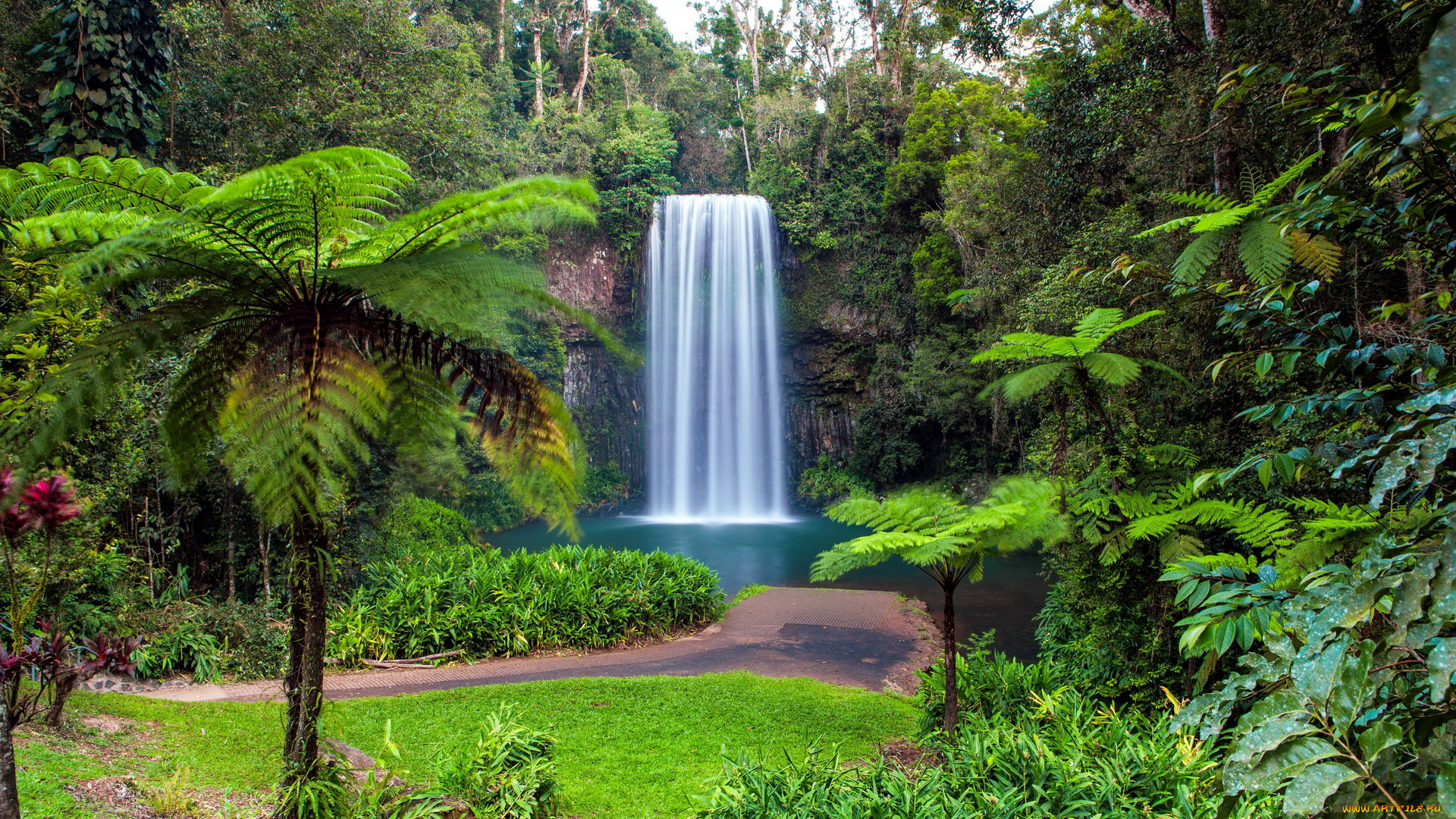 millaa, millaa, falls, north, queensland, australia, природа, водопады, millaa, falls, north, queensland