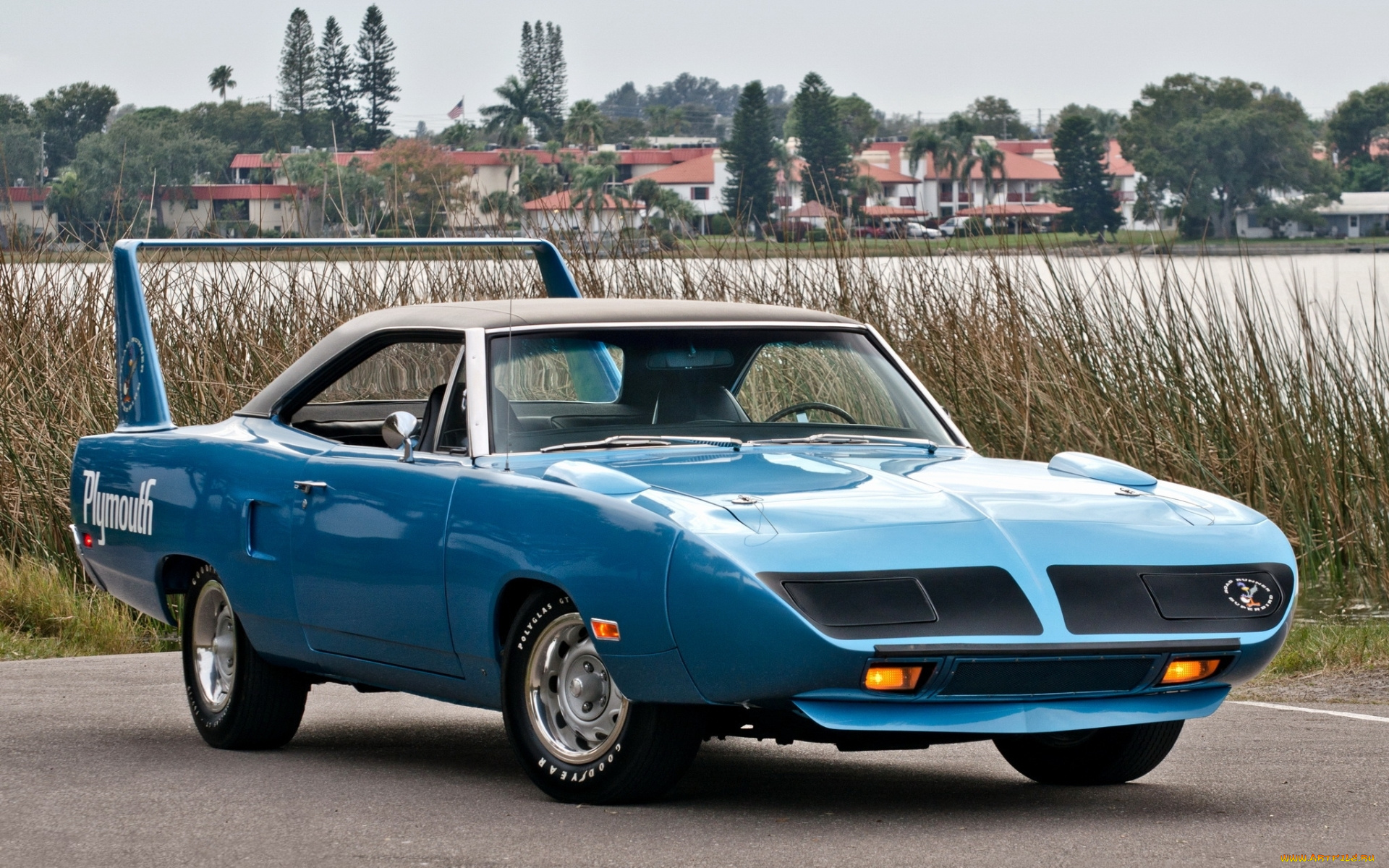 автомобили, plymouth, superbird, 1970, мускул, кар, вид, спереди, экстерьер, ретро