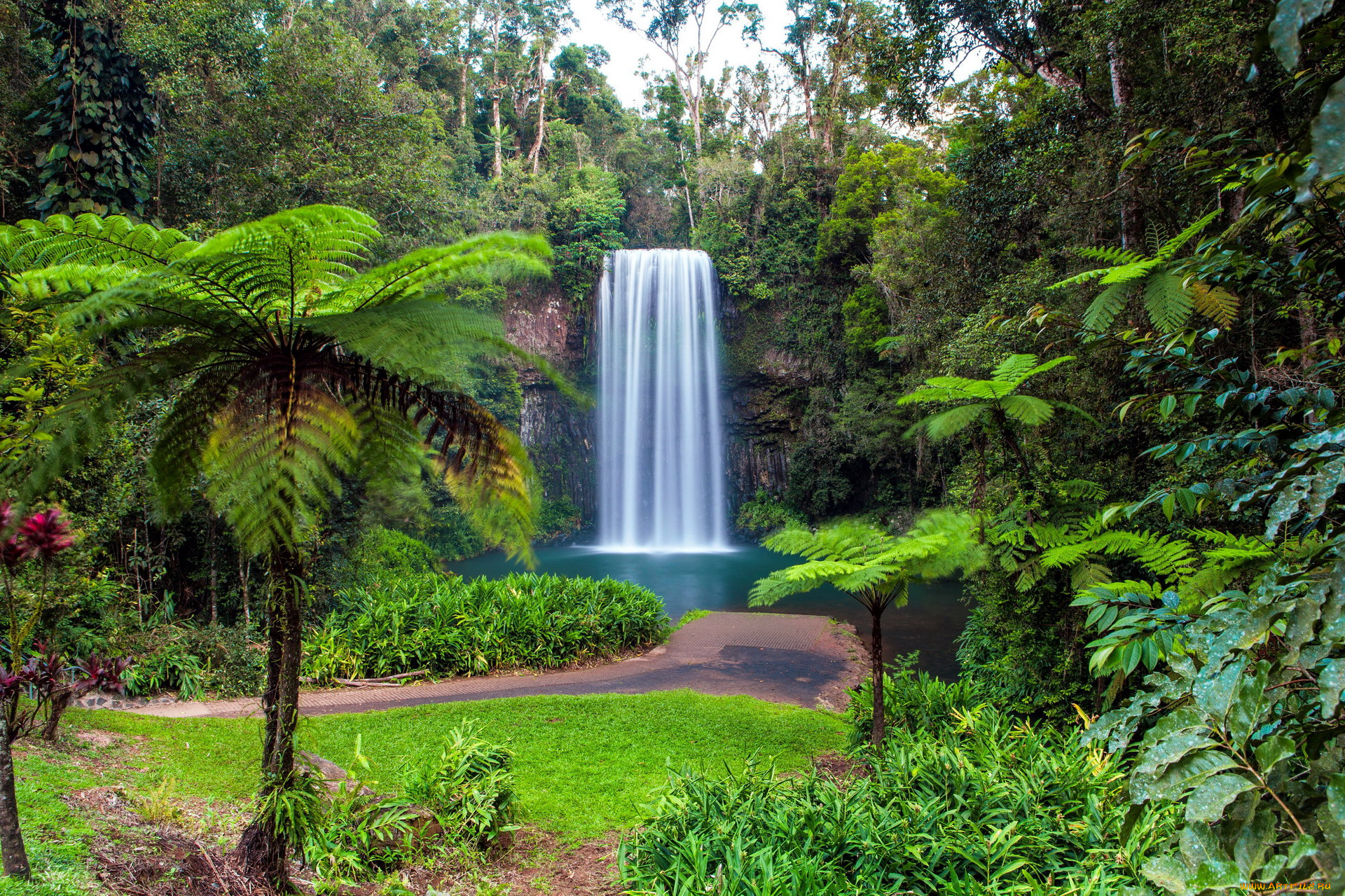 millaa, millaa, falls, north, queensland, australia, природа, водопады, millaa, falls, north, queensland