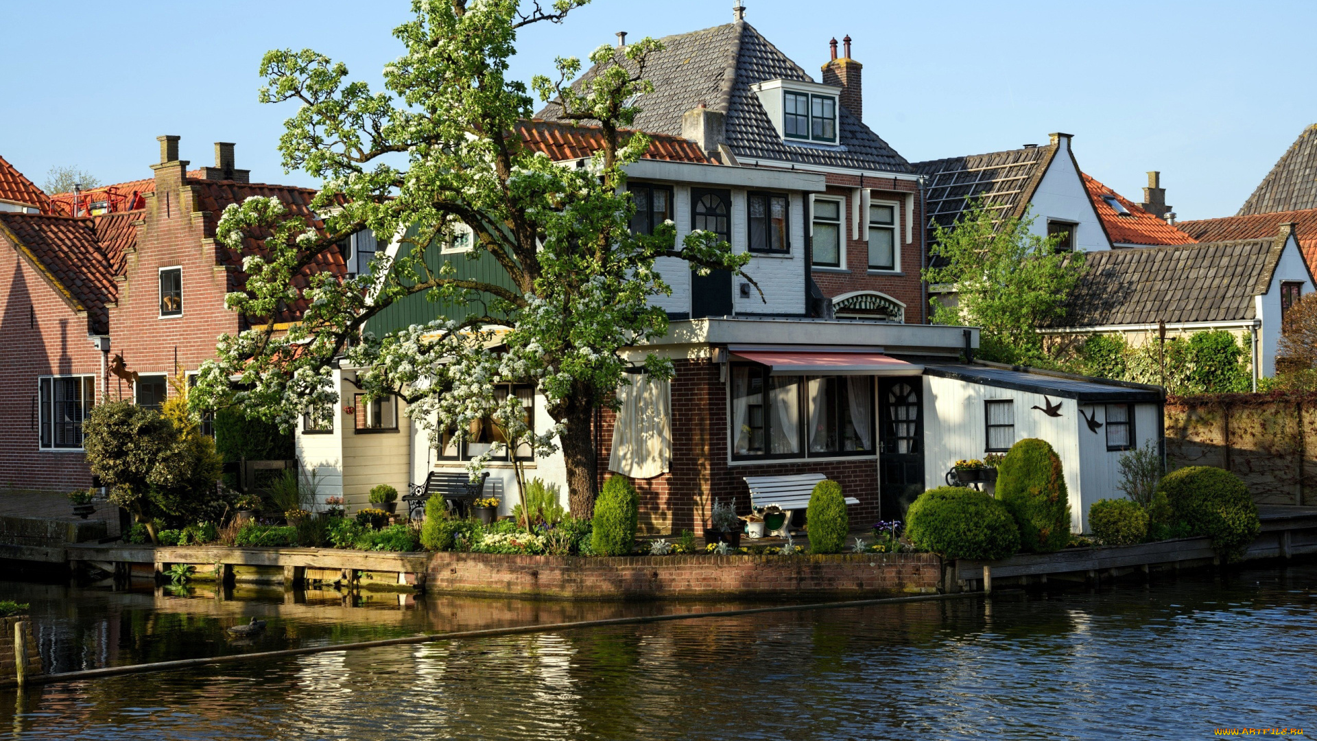 edam, netherlands, города, -, здания, , дома