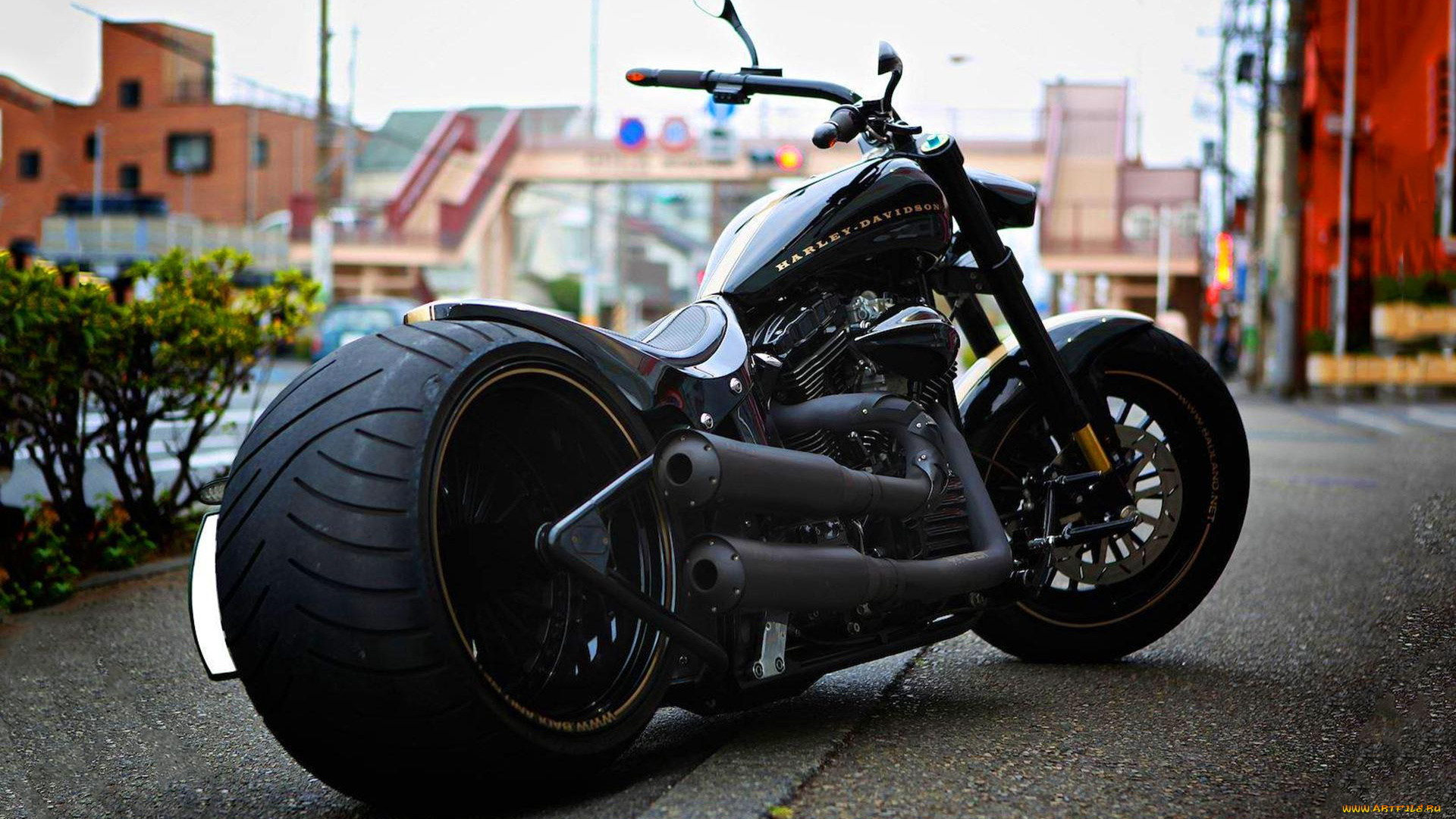 harley, мотоциклы, harley-davidson, мотоцикл, байк