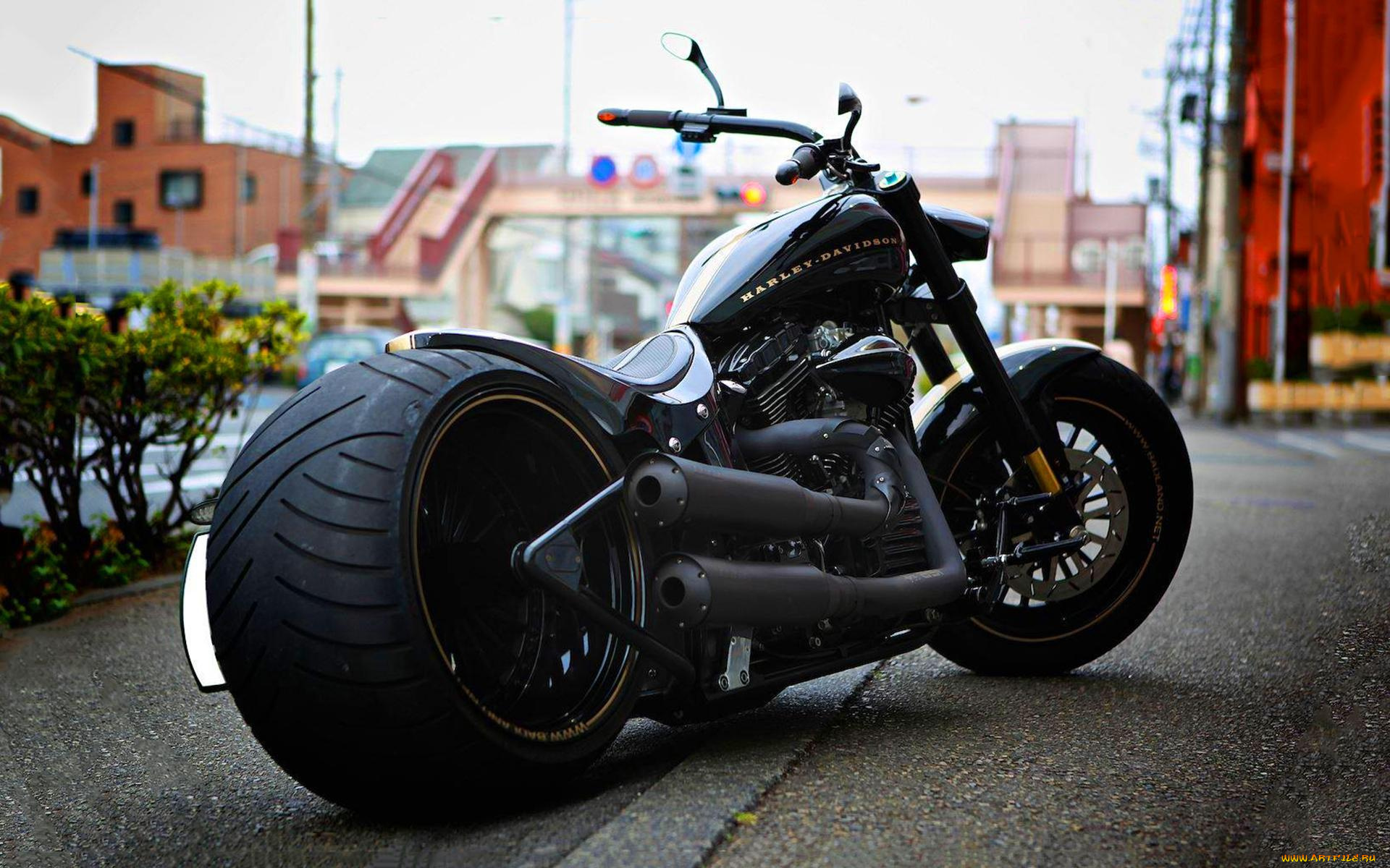 harley, мотоциклы, harley-davidson, мотоцикл, байк