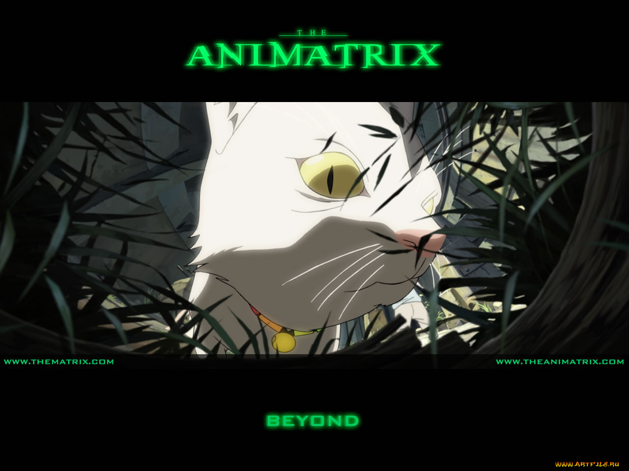 аниме, animatrix