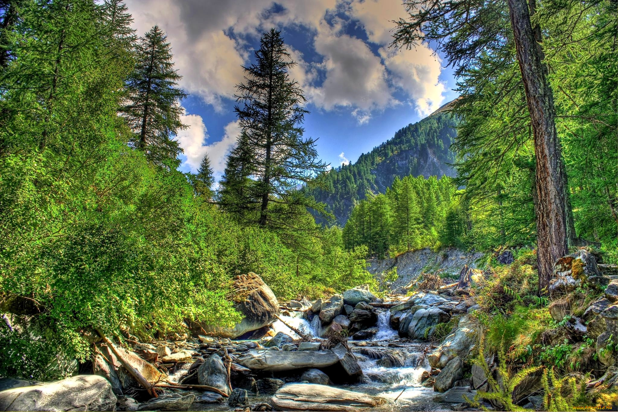 природа, лес, горы, камни, поток, деревья