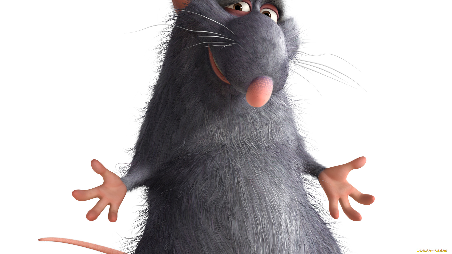 рататуй, мультфильмы, ratatouille