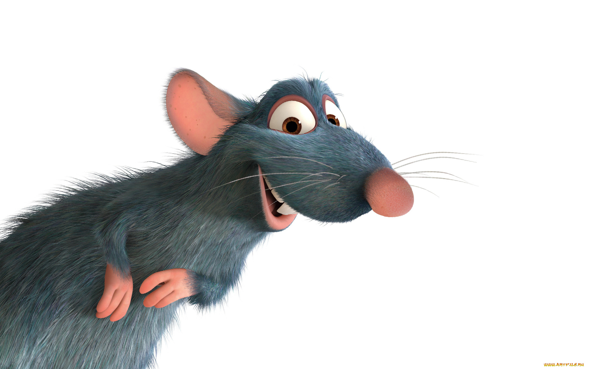 рататуй, мультфильмы, ratatouille