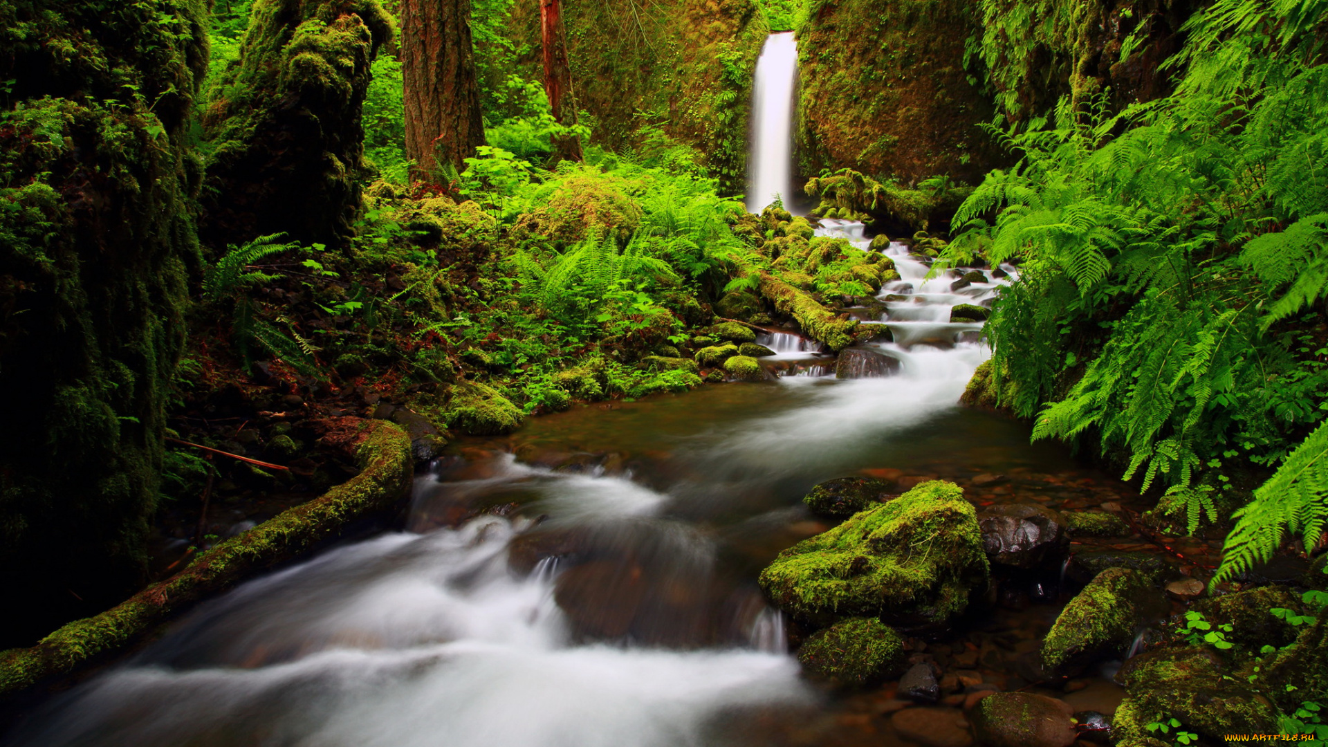 ущелье, реки, columbia, oregon, природа, озера, лес, река, водопад