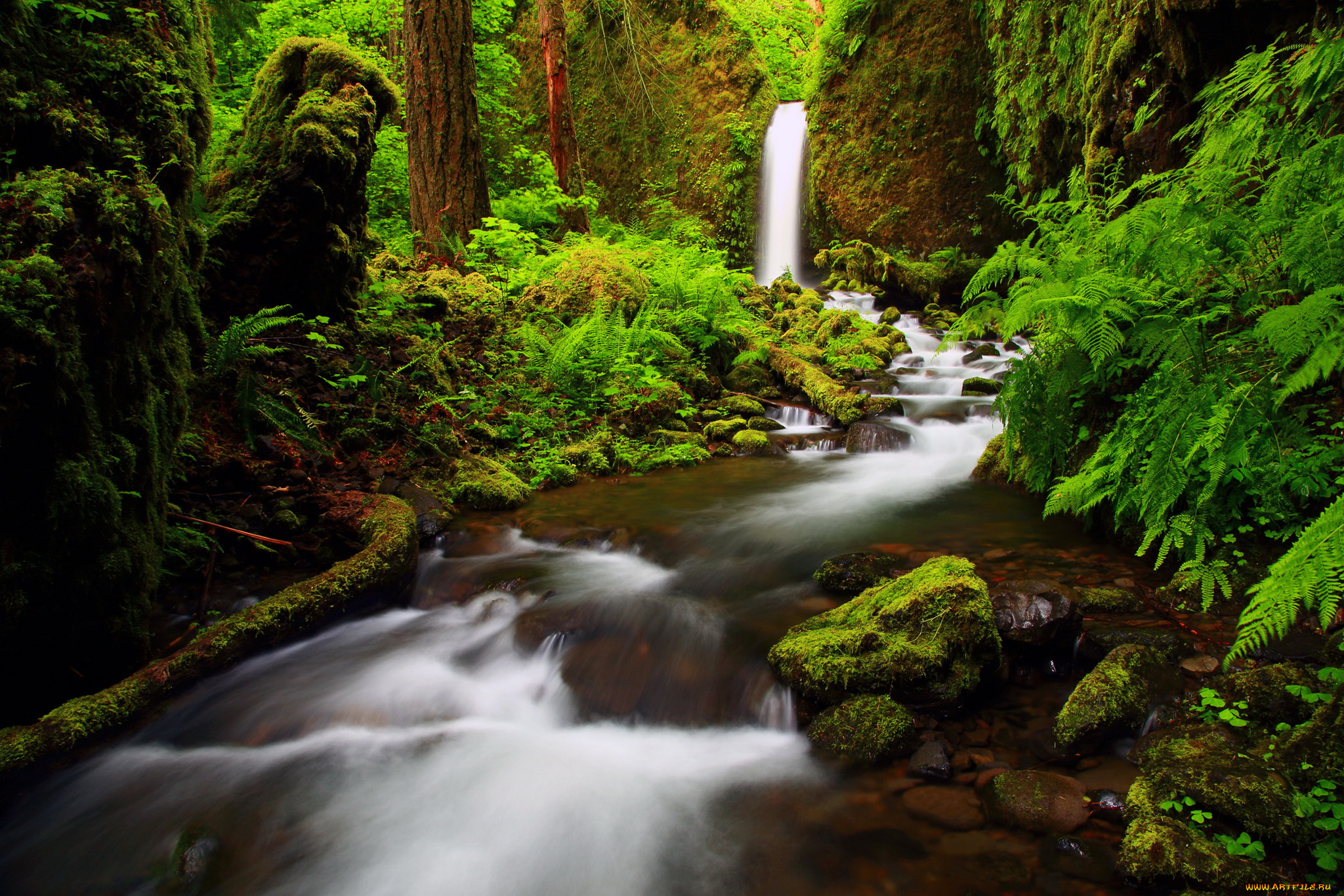 ущелье, реки, columbia, oregon, природа, озера, лес, река, водопад