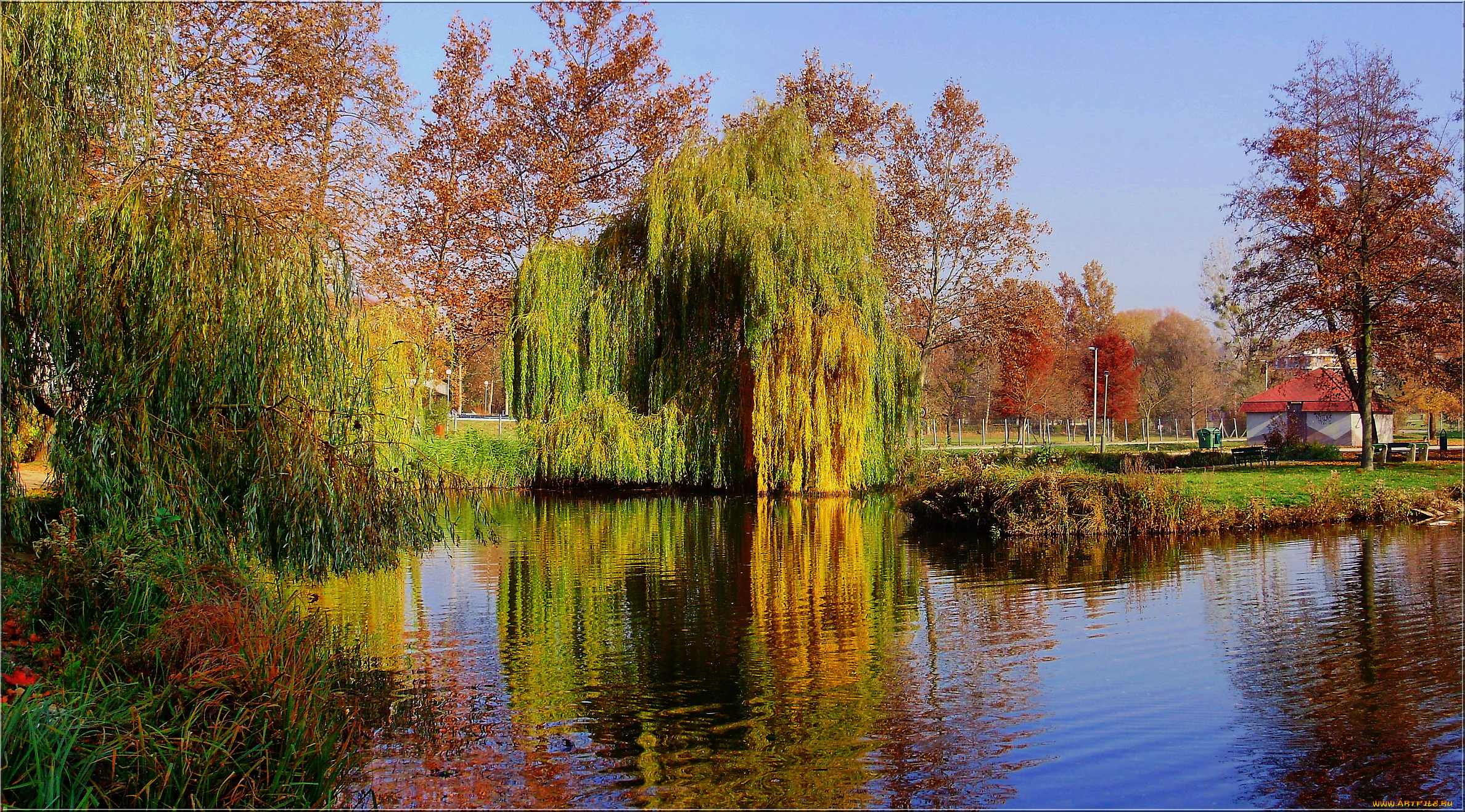 природа, парк, пруд, осень, деревья, краски