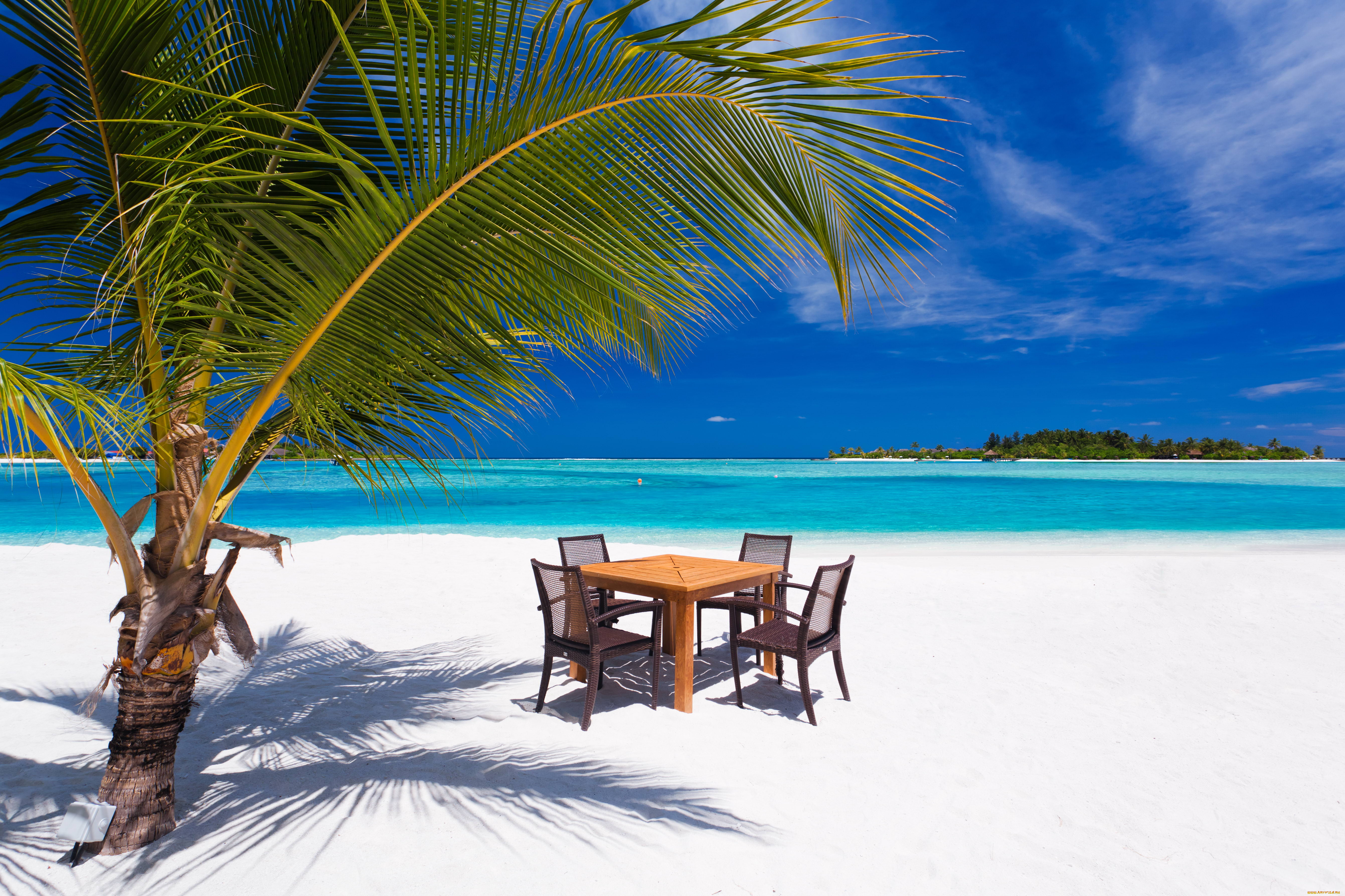 природа, тропики, небо, пальма, море, пляж, стулья, стол