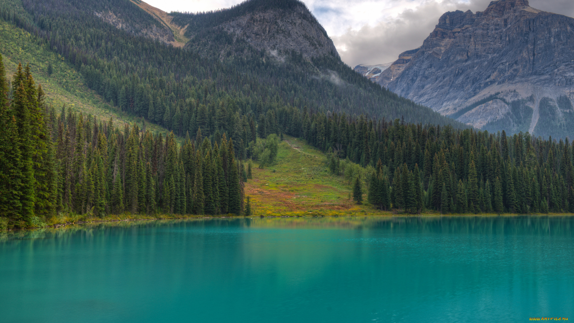 природа, горы, emerald, lake, canada, елки, british, columbia, yoho, national, park, озеро, деревья, лес