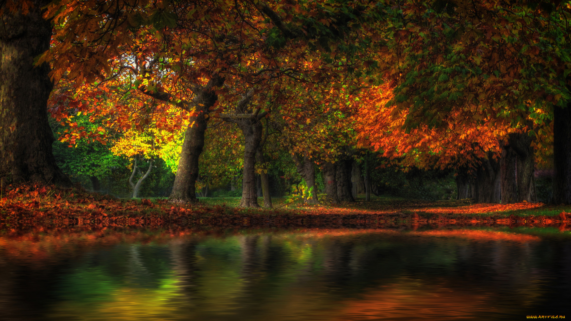 природа, реки, озера, осень, лес, река, краски