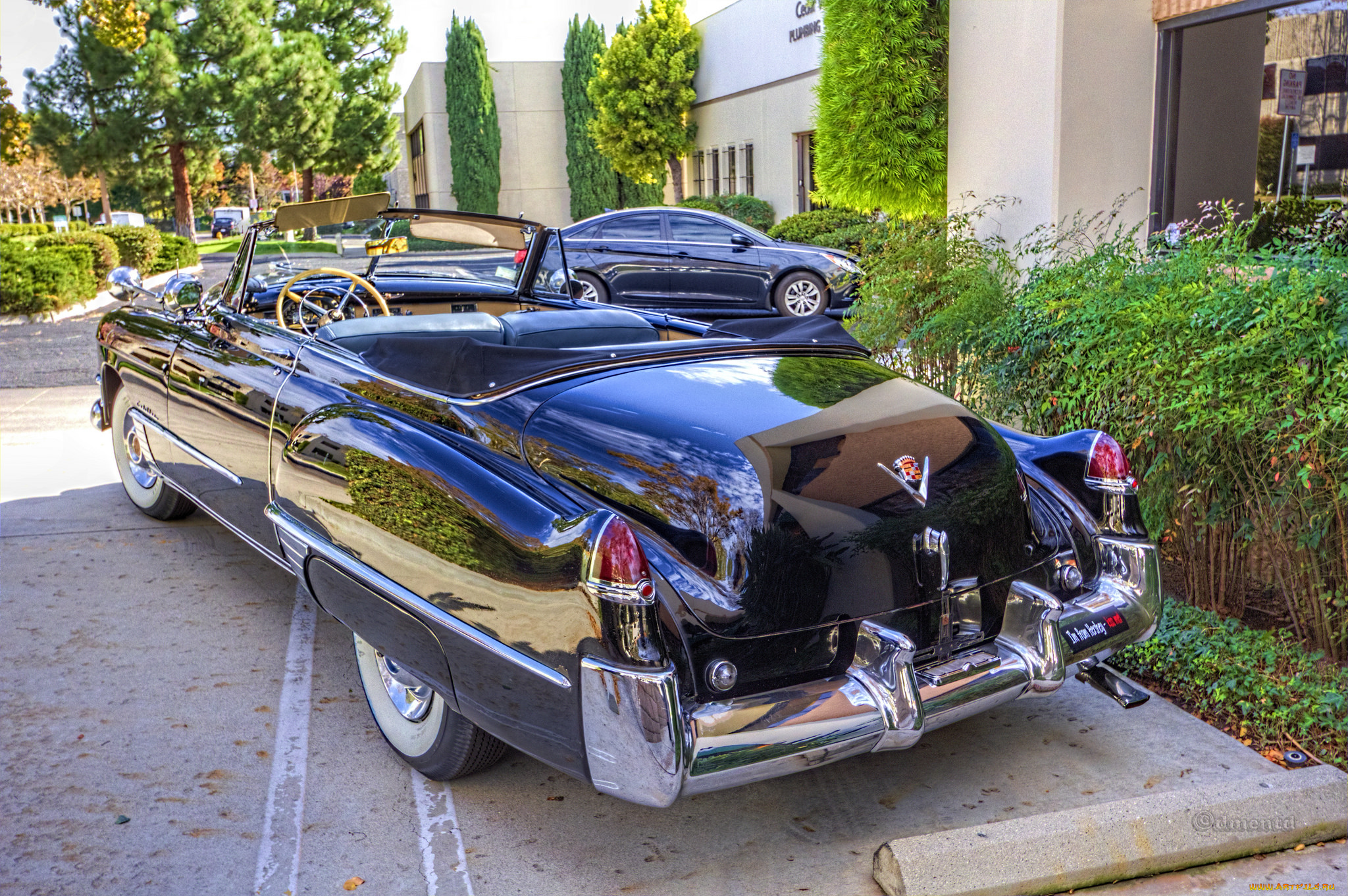 1949, cadillac, convertible, автомобили, выставки, и, уличные, фото, автошоу, выставка