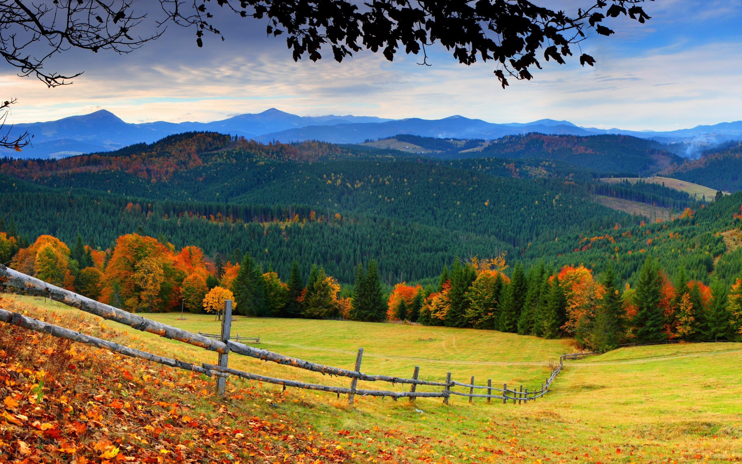 природа, поля, листья, осень, деревья, дорога, лес, горы, трава, небо