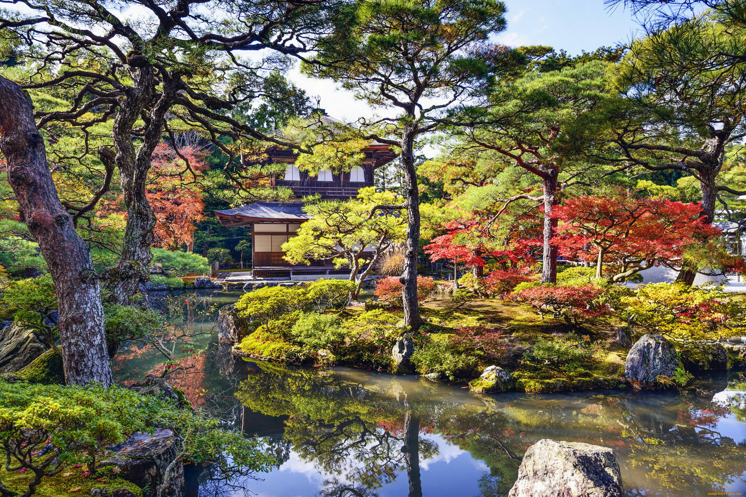 природа, парк, сад, кусты, река, беседка, японский, деревья