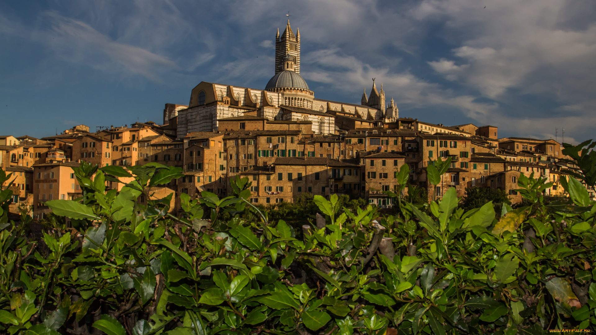 cathedral, of, siena, города, -, католические, соборы, , костелы, , аббатства, собор