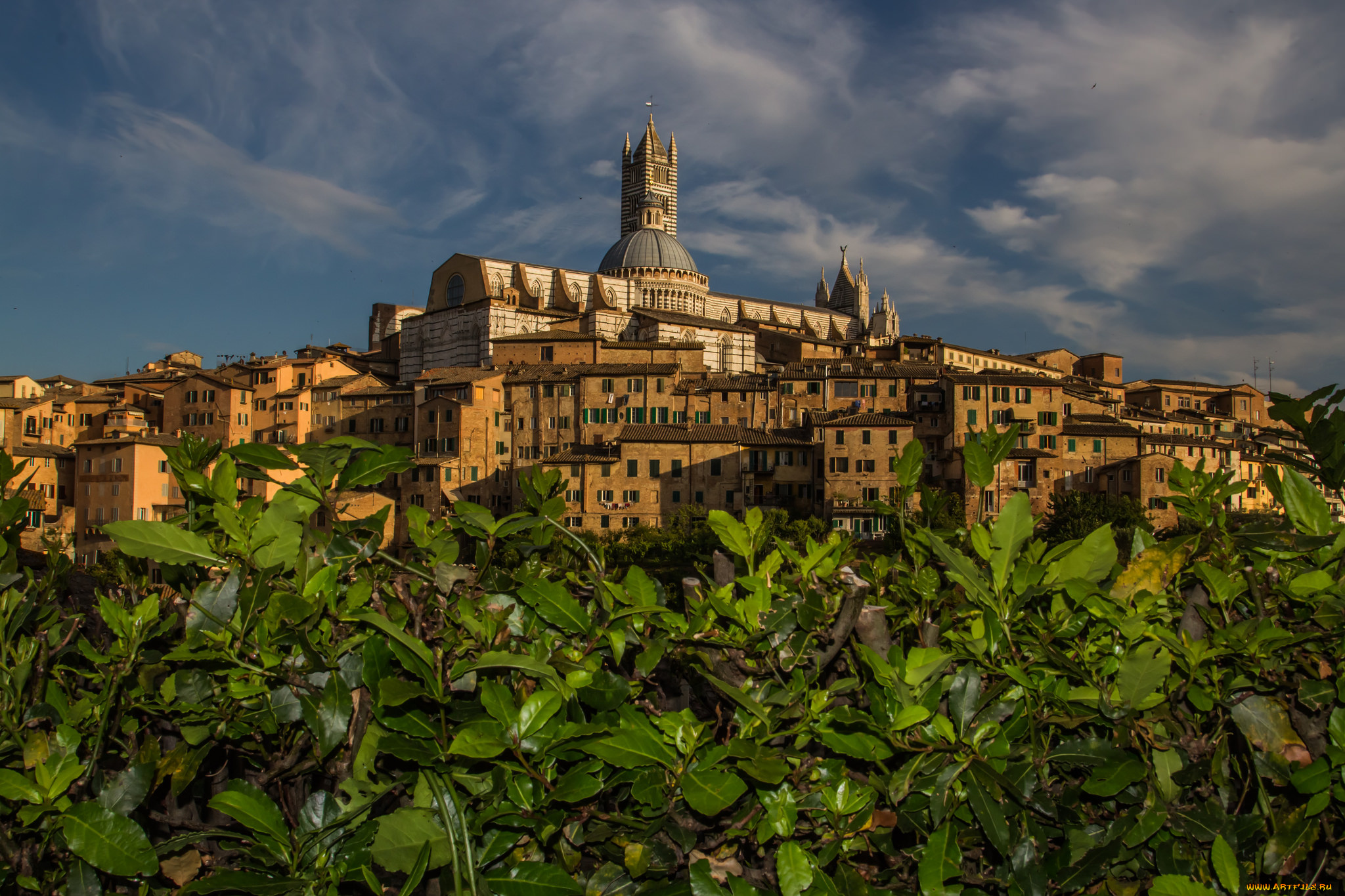 cathedral, of, siena, города, -, католические, соборы, , костелы, , аббатства, собор