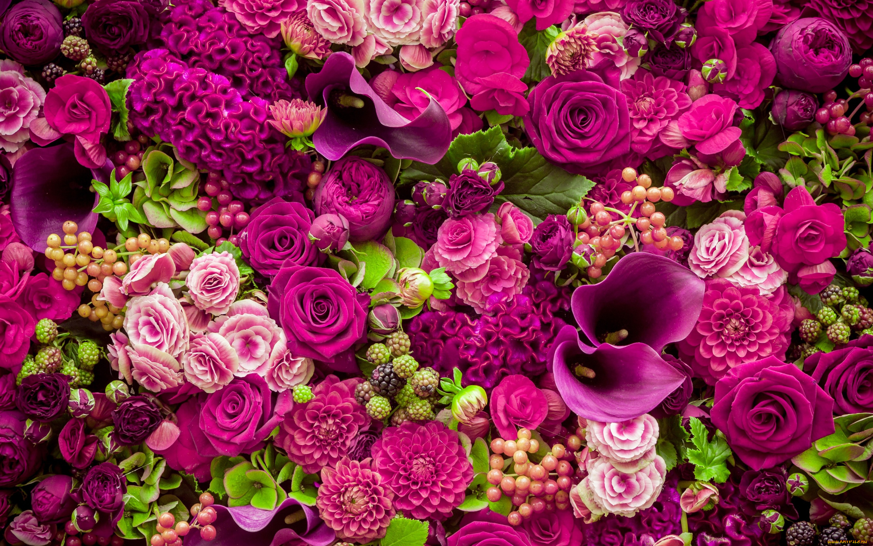 цветы, разные, вместе, roses, purple, romantic, pink, бутоны, розовые, розы, flowers, beautiful