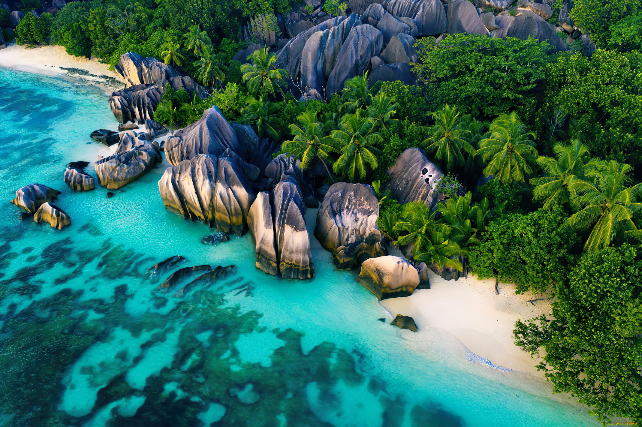 seychelles, природа, побережье