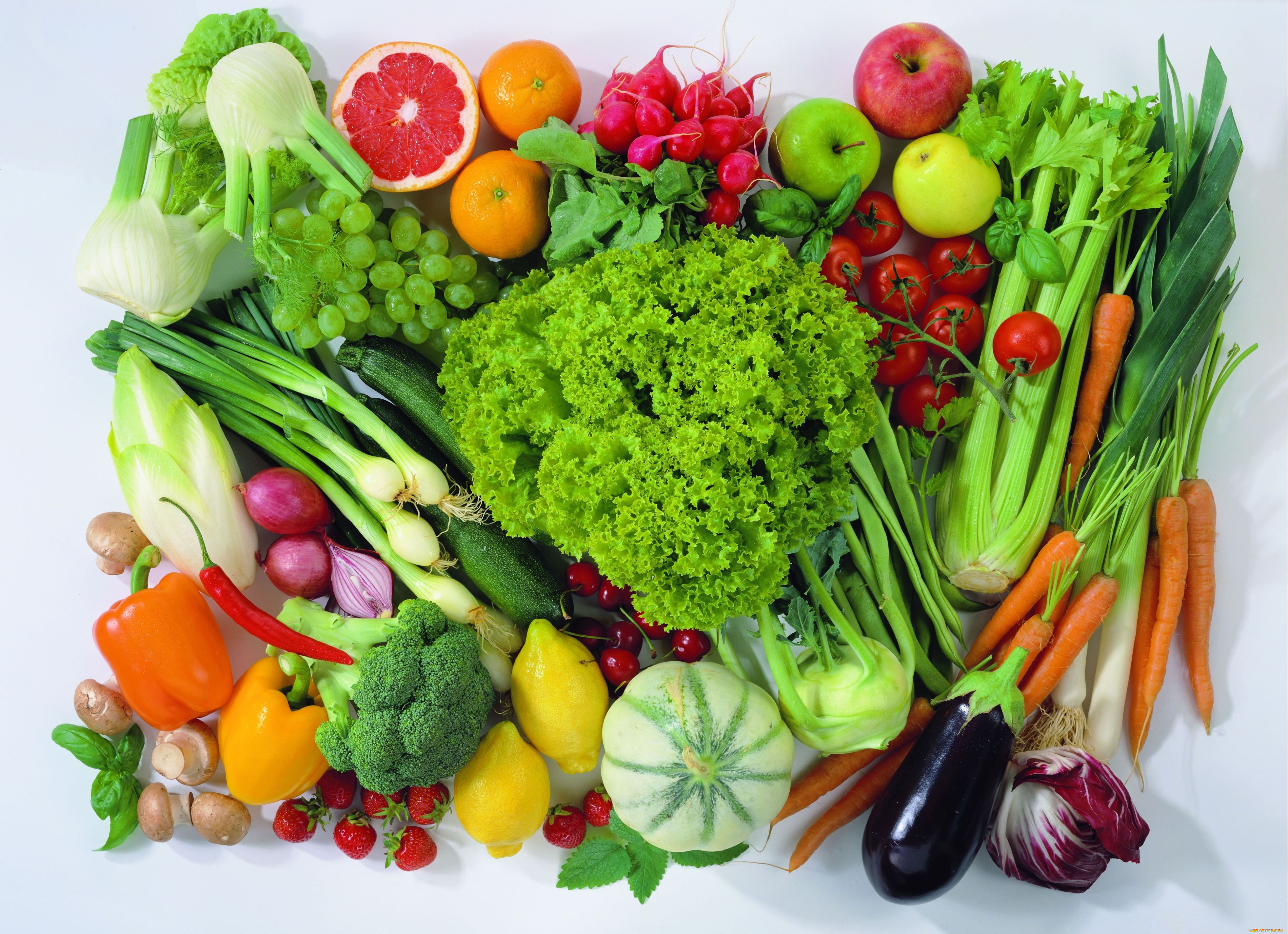 еда, фрукты, овощи, вместе, изобилие, натюрморт, томаты, помидоры, лимон, капуста, перец, зелень