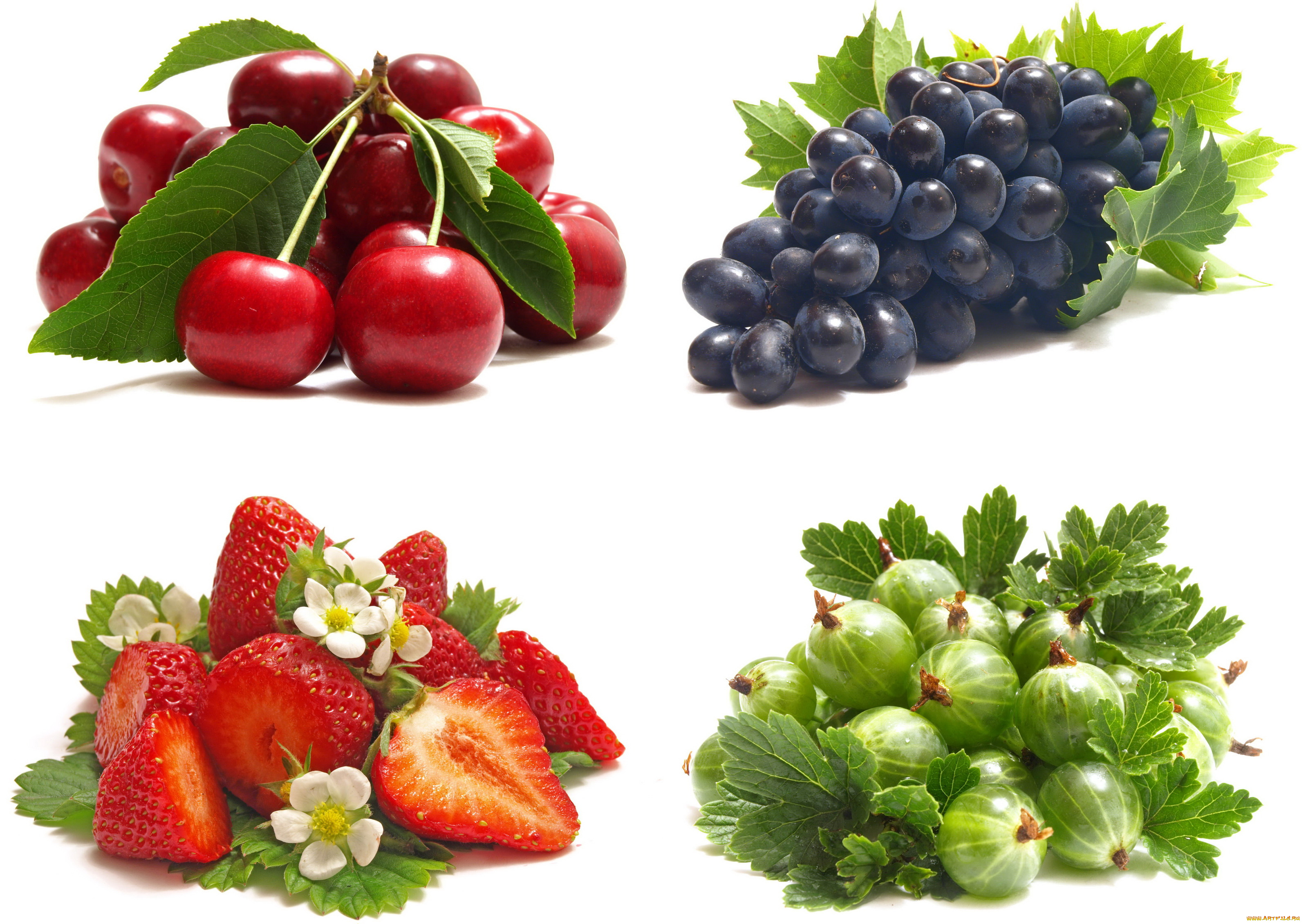 еда, фрукты, ягоды, крыжовник, виноград, вишня, клубника