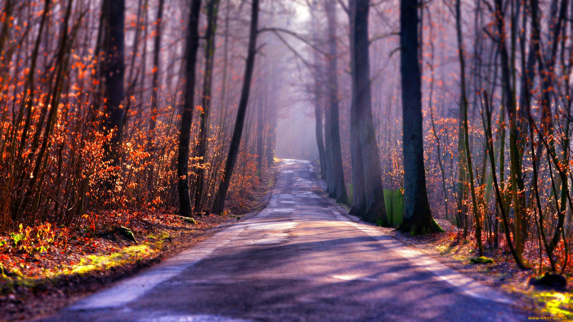 природа, дороги, осень