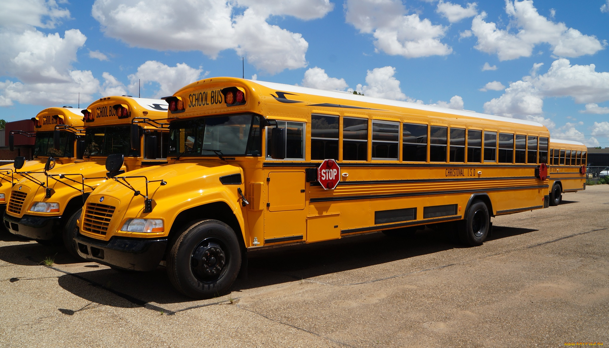 Желтый школьный автобус