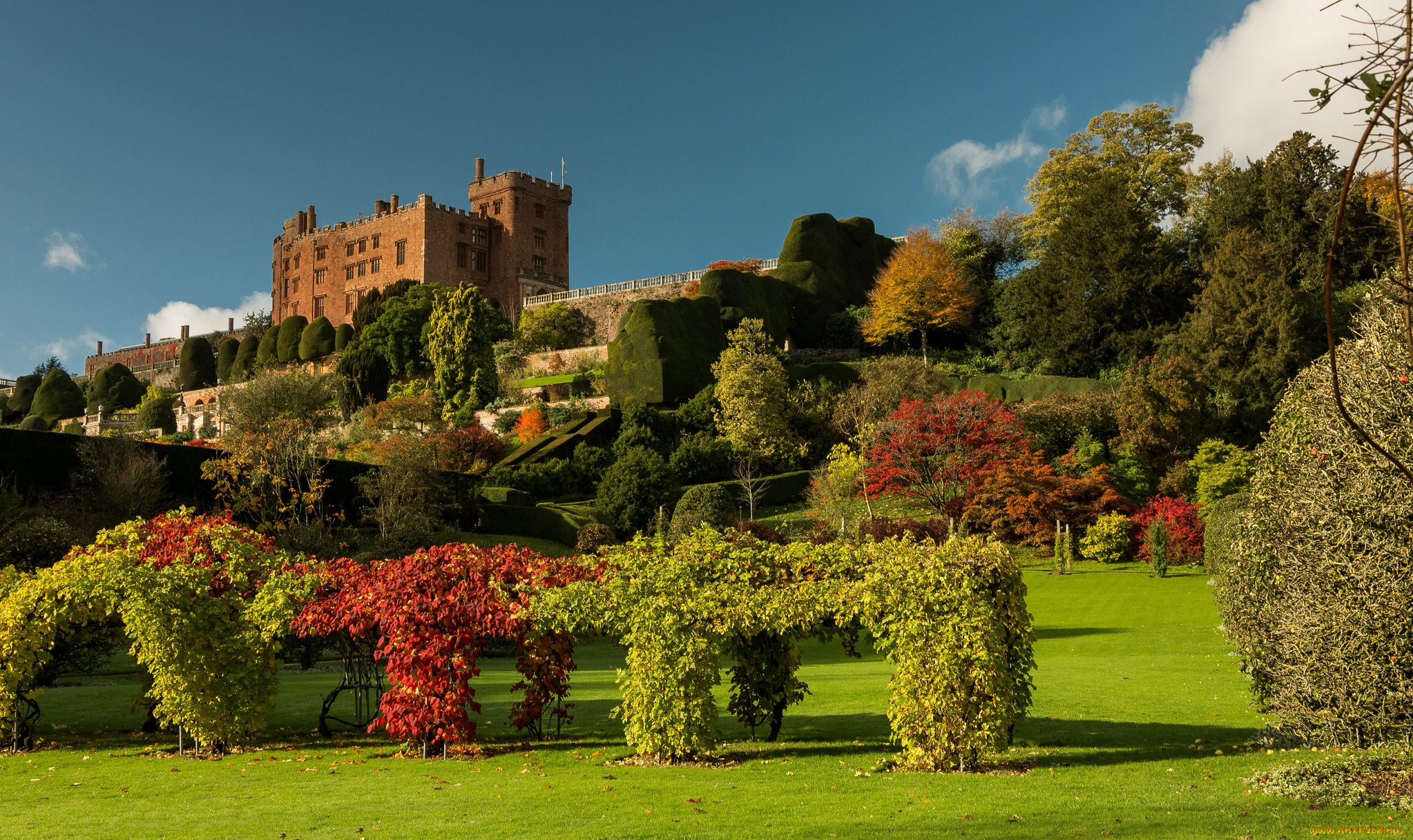 города, дворцы, замки, крепости, замок, деревья, лужайка, парк, powis, castle