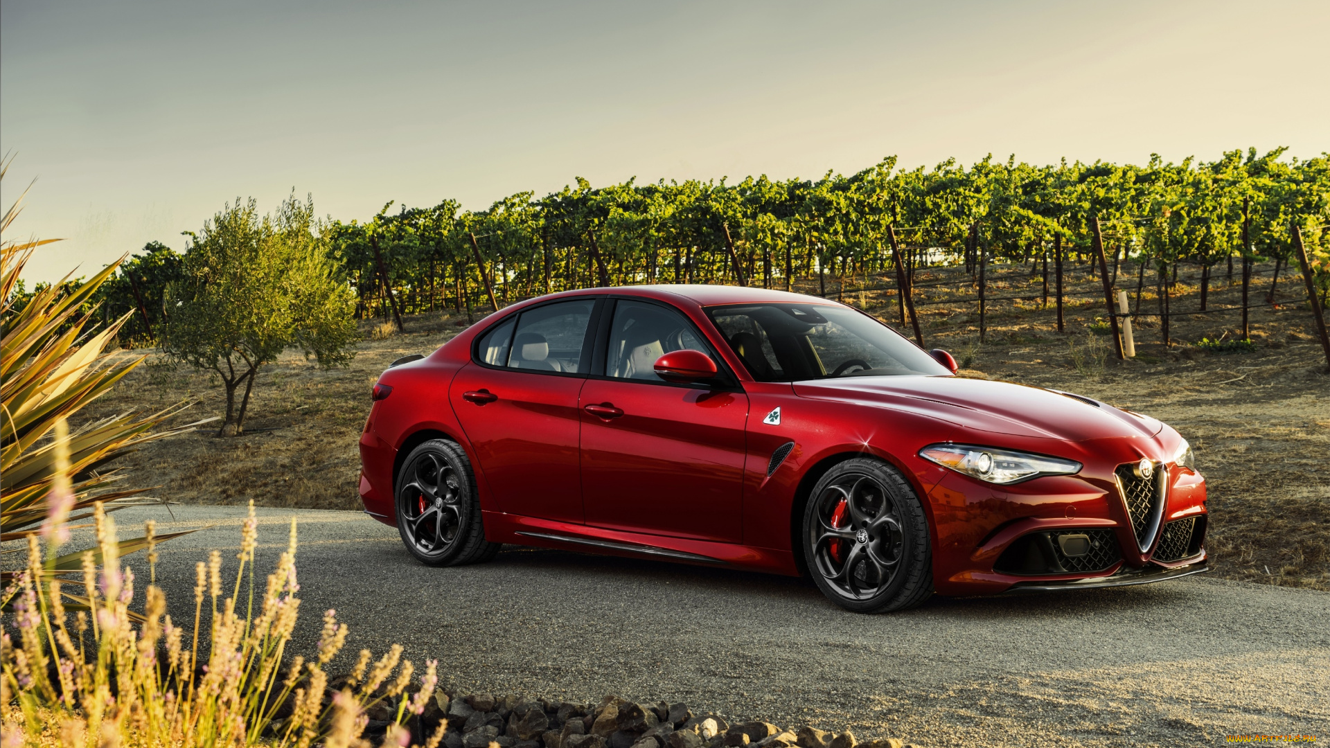 автомобили, alfa, romeo, 2017г, quadrifoglio, giulia, 952, us-spec, alfa, romeo